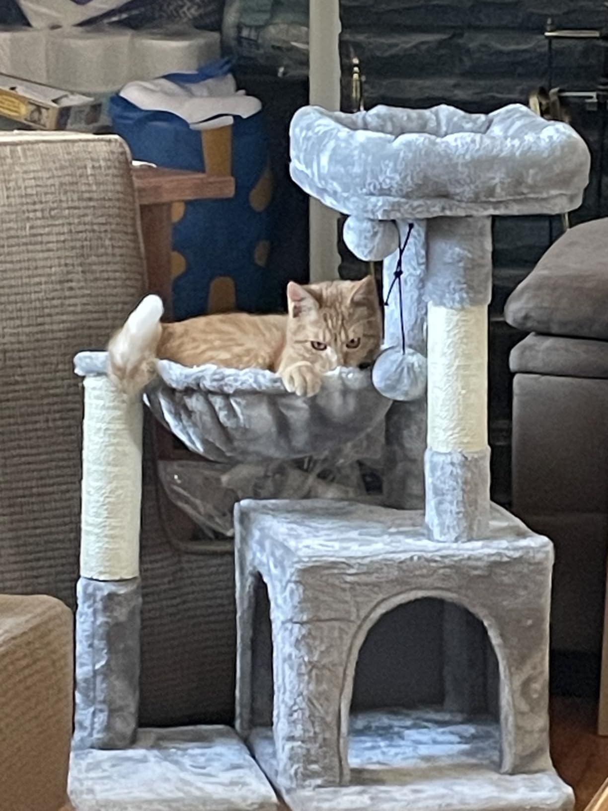 Pesofer Cat Tree, Small Cat Tower with Sisal Scratching Post and Hammock Light Gray customer photo 2