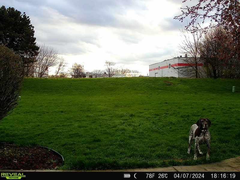 TACTACAM Reveal X PRO Cellular Trail Camera, Verizon and AT&T, NO Glow, Integrated GPS Tracking, Built in LCD Screen, HD Photo and HD Video (X-PRO) customer photo 1