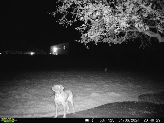 TACTACAM Reveal X PRO Cellular Trail Camera, Verizon and AT&T, NO Glow, Integrated GPS Tracking, Built in LCD Screen, HD Photo and HD Video (X-PRO) customer photo 2