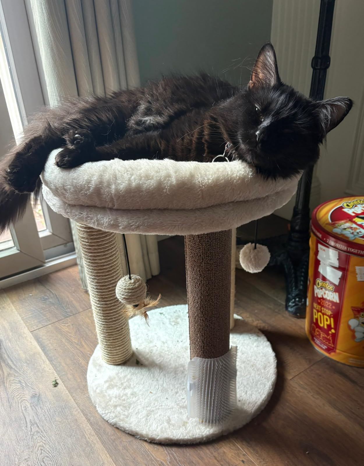 MECOOL 4in1 Small Cat Tree,Scratching Post with Tower Soft Bed, Sisal Carpet Jute Posts with Three Hanging Ball Toys and Massage Brush for Indoor Cats and Kittens customer photo 2