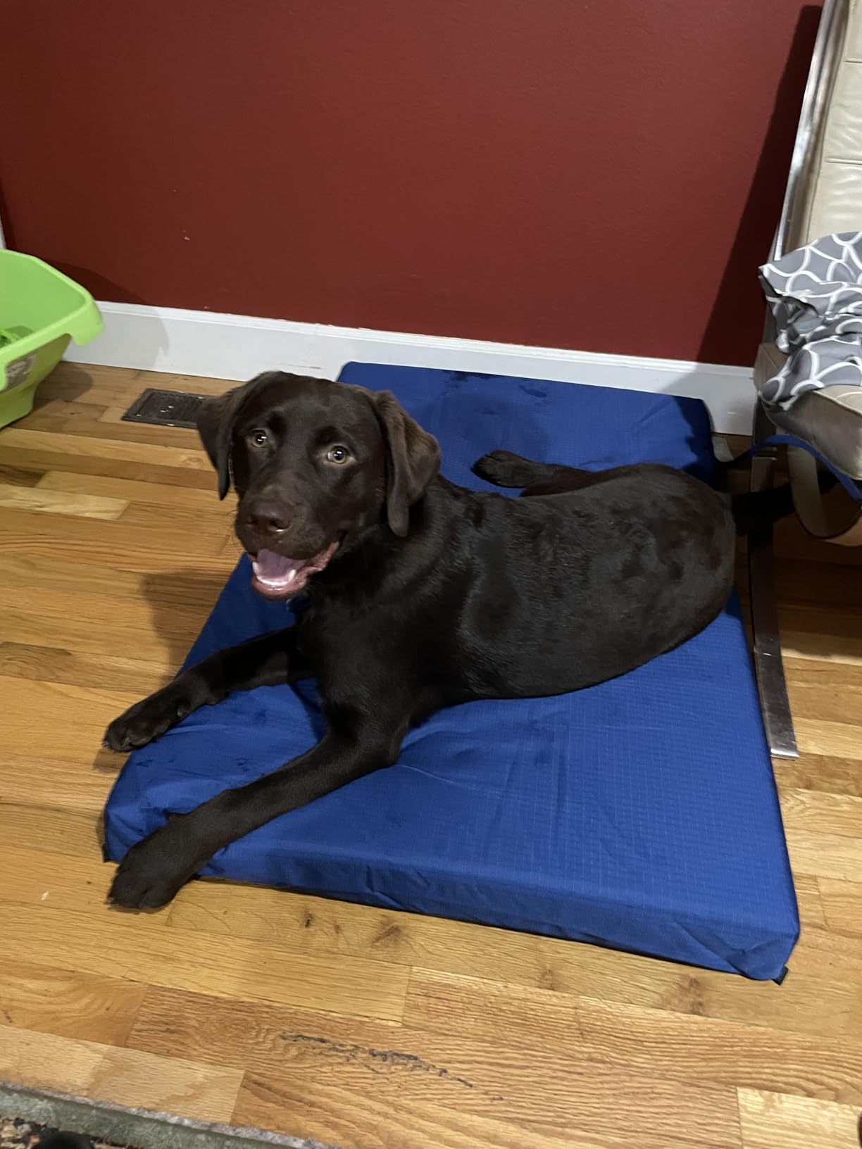 K9 Ballistics Tough Ripstop Orthopedic Crate Bed, 41 x 27, Obsidian Black customer photo 1