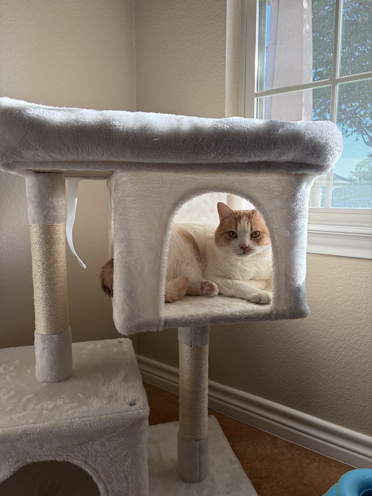 Feandrea Cat Tree, 26.4-Inch Small Cat Tower, Cute Plush Condo, Light Gray customer photo 1