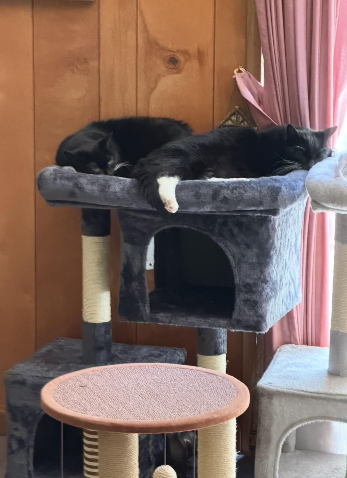 Feandrea Cat Tree, 26.4-Inch Small Cat Tower, Cute Plush Condo, Light Gray customer photo 2