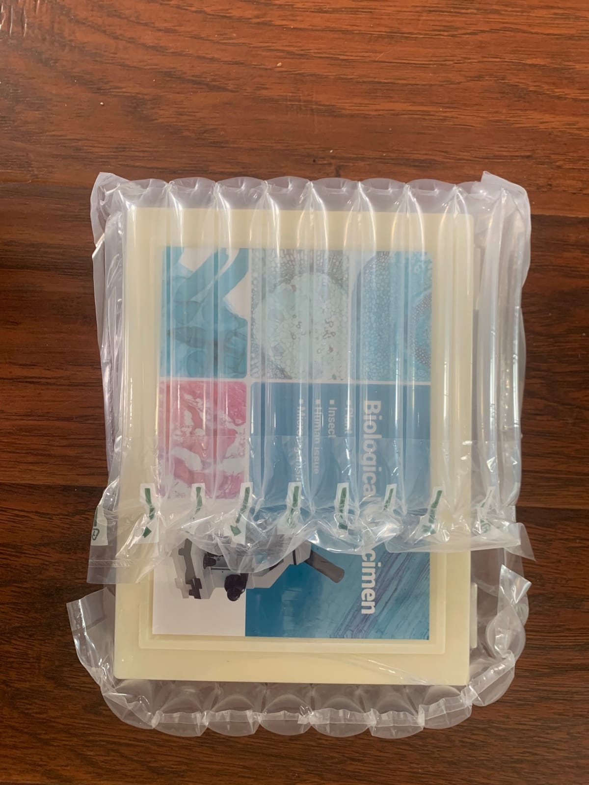 30 Microscope Slides with Specimens for Kids, Prepared Microscope Slides for Kids Microbiology, Glass Slides for Microscope, Biology Gifts for Adults Kids customer photo 2