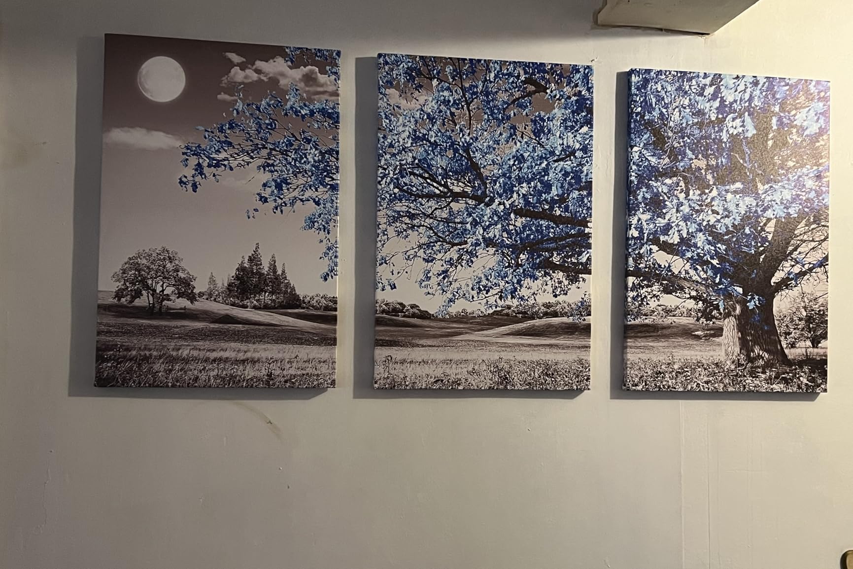 Black Framed Wall Art for Living Room & Bedroom - Blue Tree Wall Paintings, Modern Home Decor - 12