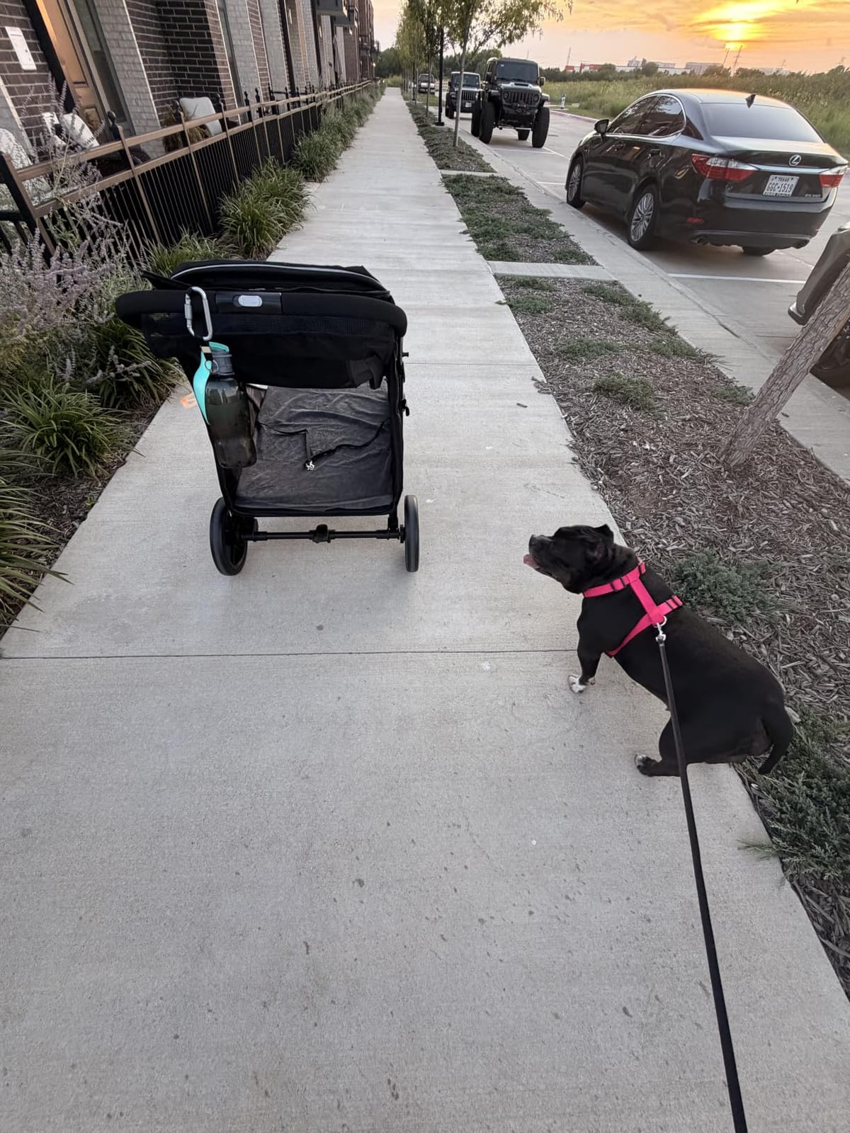 PawHut Dog Stroller for Large Medium Small Dogs up to 66 Lbs. 23.5
