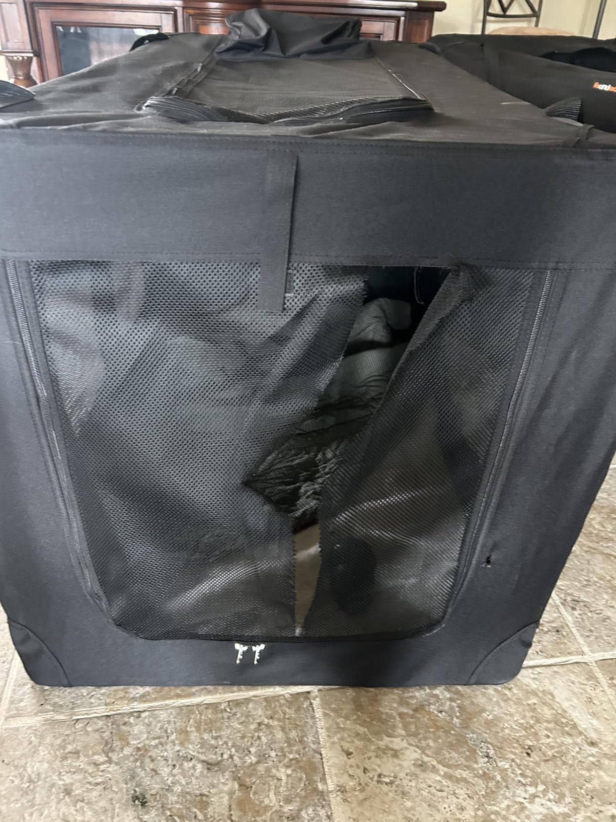 Feandrea Collapsible Soft Dog Crate, Portable Travel Carrier, 24 Inches customer photo 1