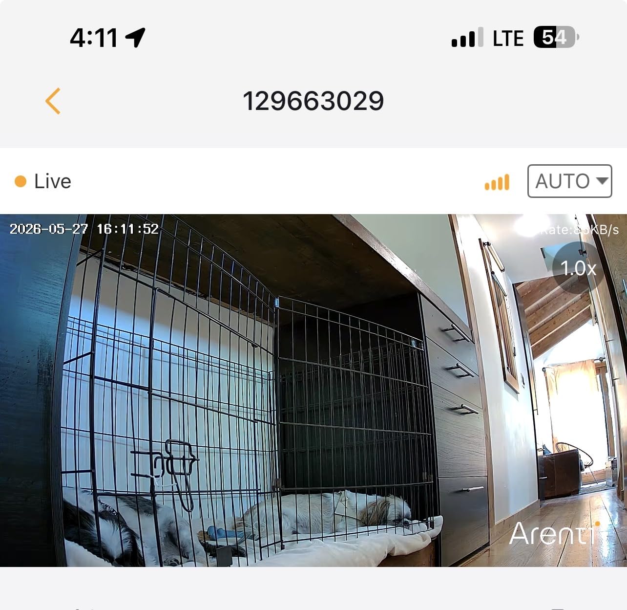 ARENTI 4MP Pet Camera P2Q, 5G WiFi 6 Indoor Security Camera, Free Phone App customer photo 1