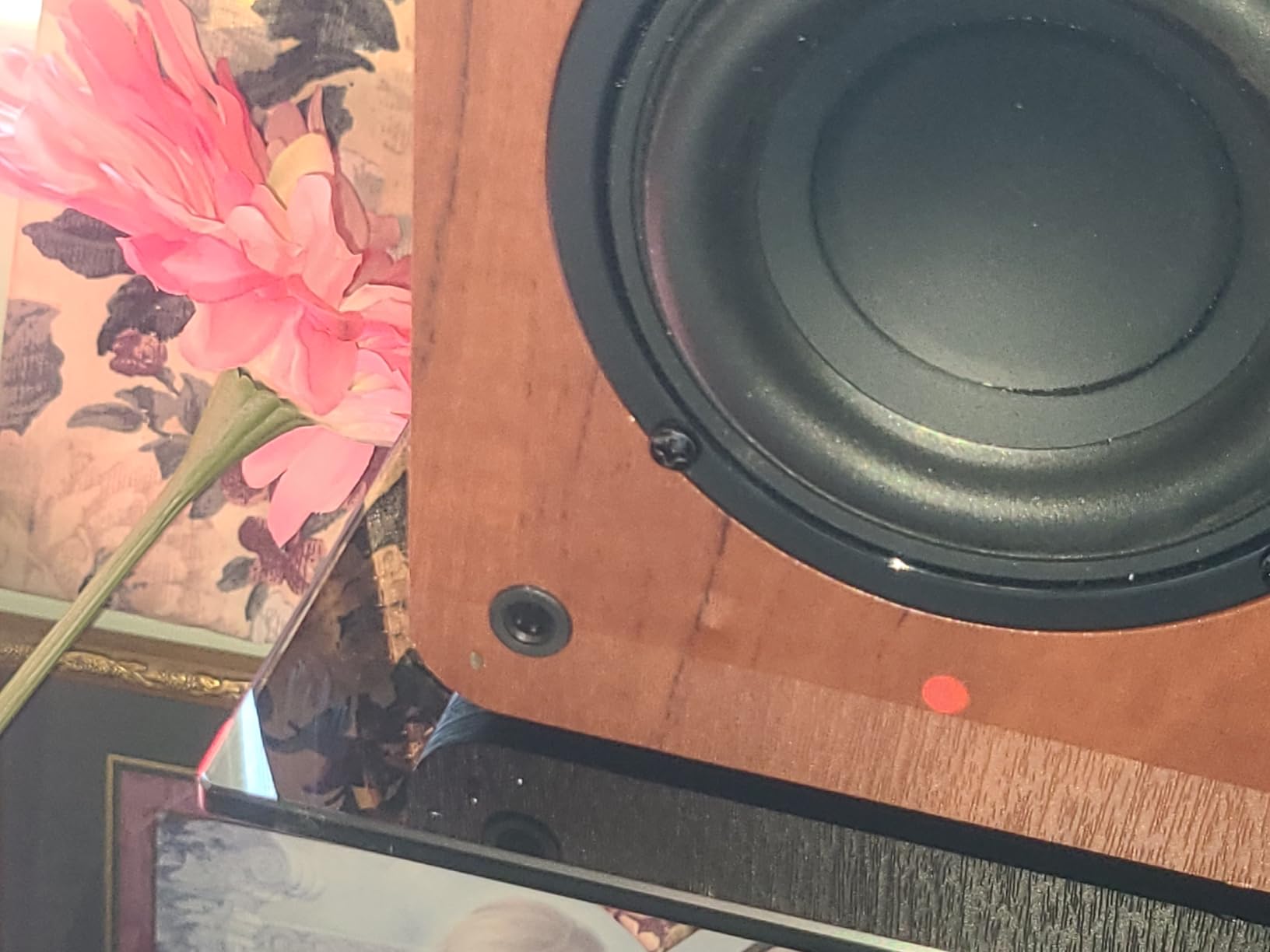 Saiyin Powered Bluetooth Bookshelf Speakers | 30W*2, 3.75 Inches Woofer, Bluetooth/Optical/Auxiliary/RCA Inputs, TV/Turntable/Record Player/Computer/PC customer photo 2