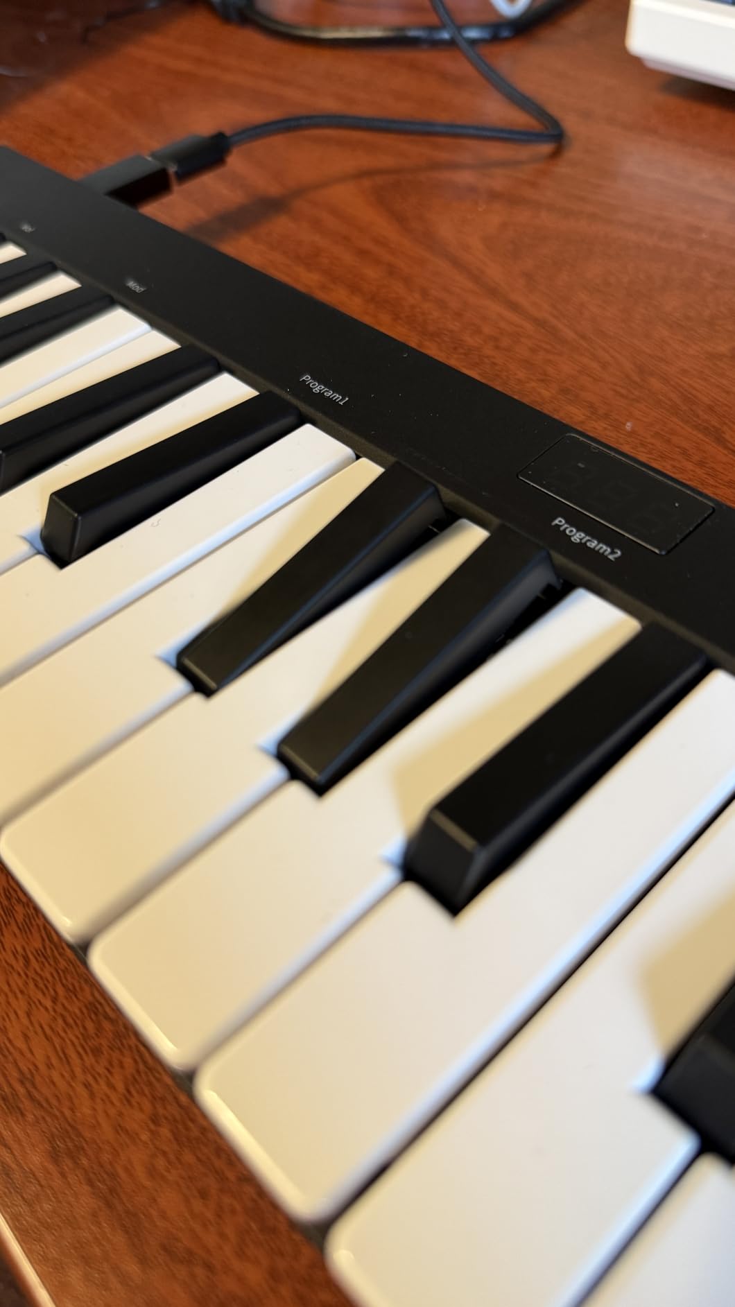 Donner Mini MIDI Keyboard N-25, 25 Key MIDI Controller Gifts for Beginners with Velocity-Sensitive Mini Keys Light-up Rocker Music Production Software, Small USB Controlador with 40 Teaching Courses customer photo 2