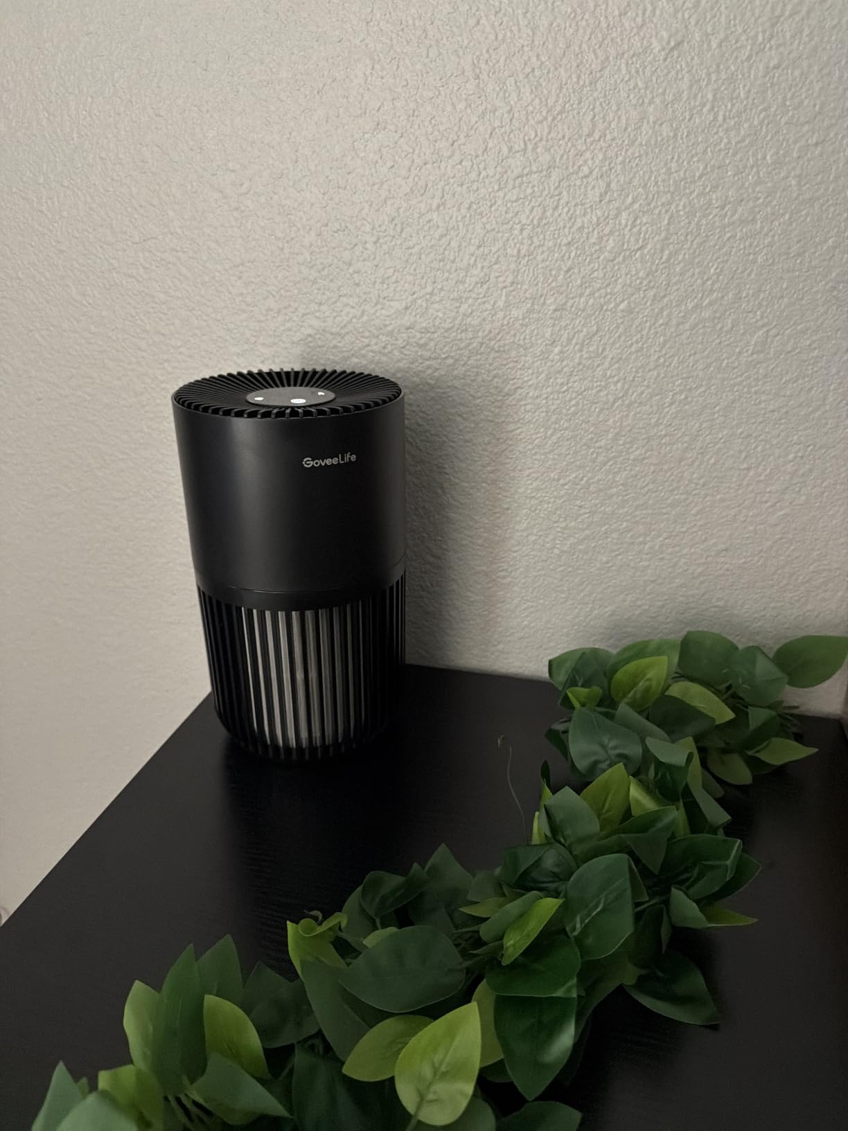GoveeLife Smart Mini Air Purifier for Bedroom, with App & Alexa Control customer photo 2