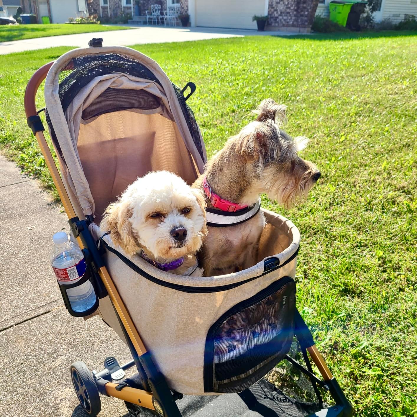 Medium Dog Stroller, Kenyone Pet Stroller for Medium Dogs Up to 55lbs, Lightweight Aluminum Frame, One Click Folding, Large Cat Stroller with No Zip Entry, Detachable Mesh, Multiple Pockets customer photo 1
