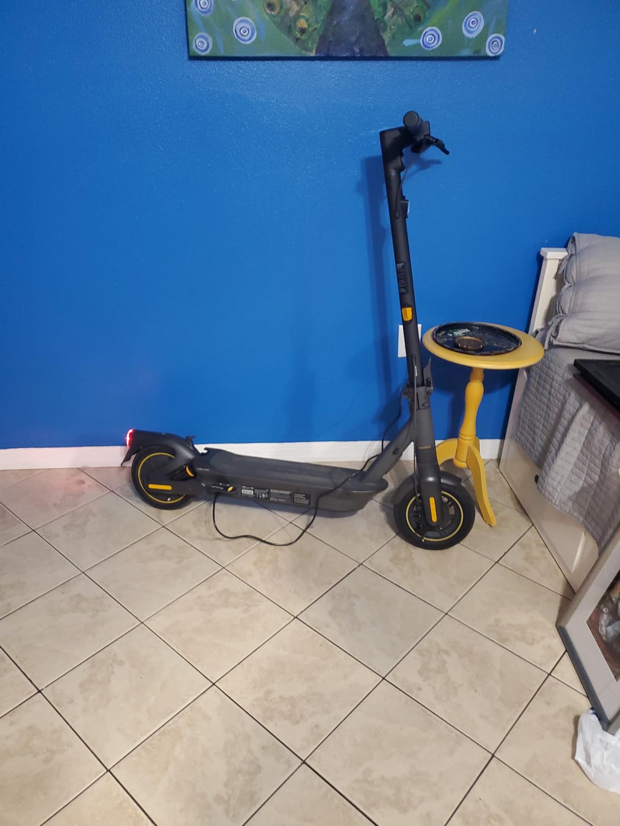 Segway Ninebot MAX G3 Plus/G3 / G2 Electric Scooter for Adult, UL Certified customer photo 2