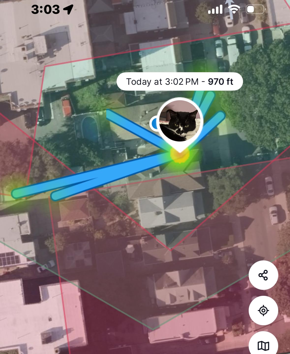 Tractive Smart Cat GPS Tracker | Real-Time Location & Wellness Monitoring for Cats 6.5 lbs+ | Territory & Location History | Up to 5-Day Battery | Breakaway Collar Included (Dark Blue) customer photo 1