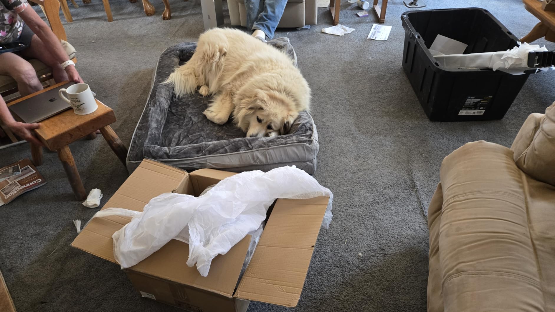 Bedsure Orthopedic XL Dog Bed Extra Large Washable Original Design customer photo 1