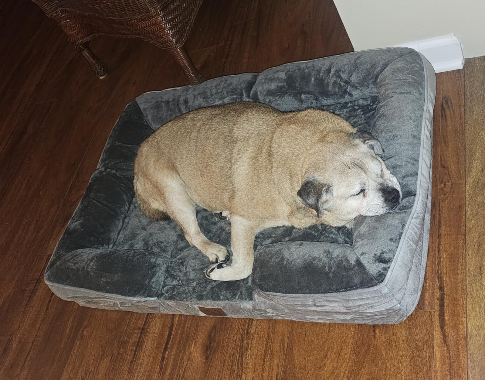 Bedsure Orthopedic XL Dog Bed Extra Large Washable Original Design customer photo 2