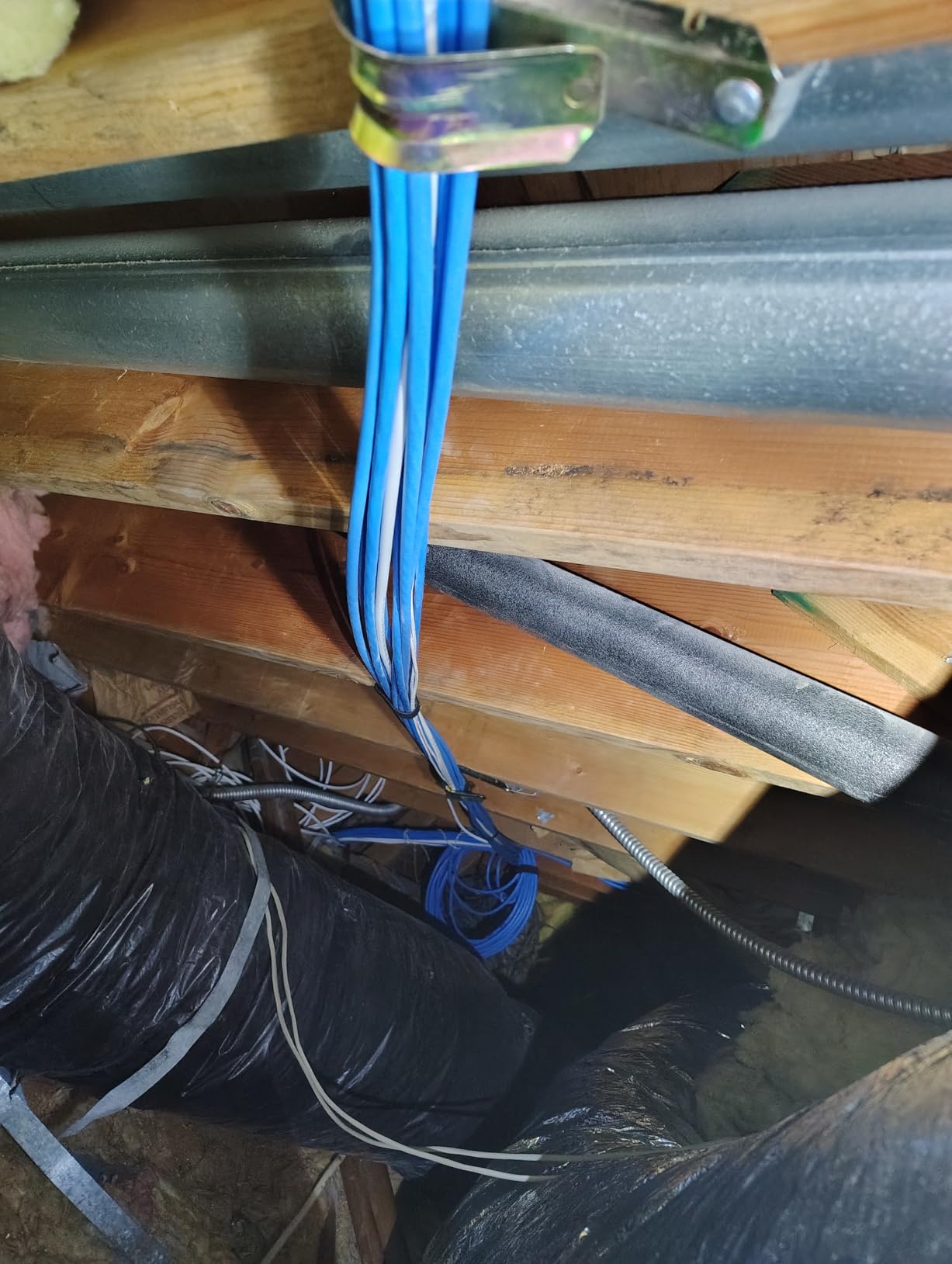 JAVEX CAT 6A Riser CMR Ethernet Cable 500FT Shielded FTP [UL Listed], Blue customer photo 1