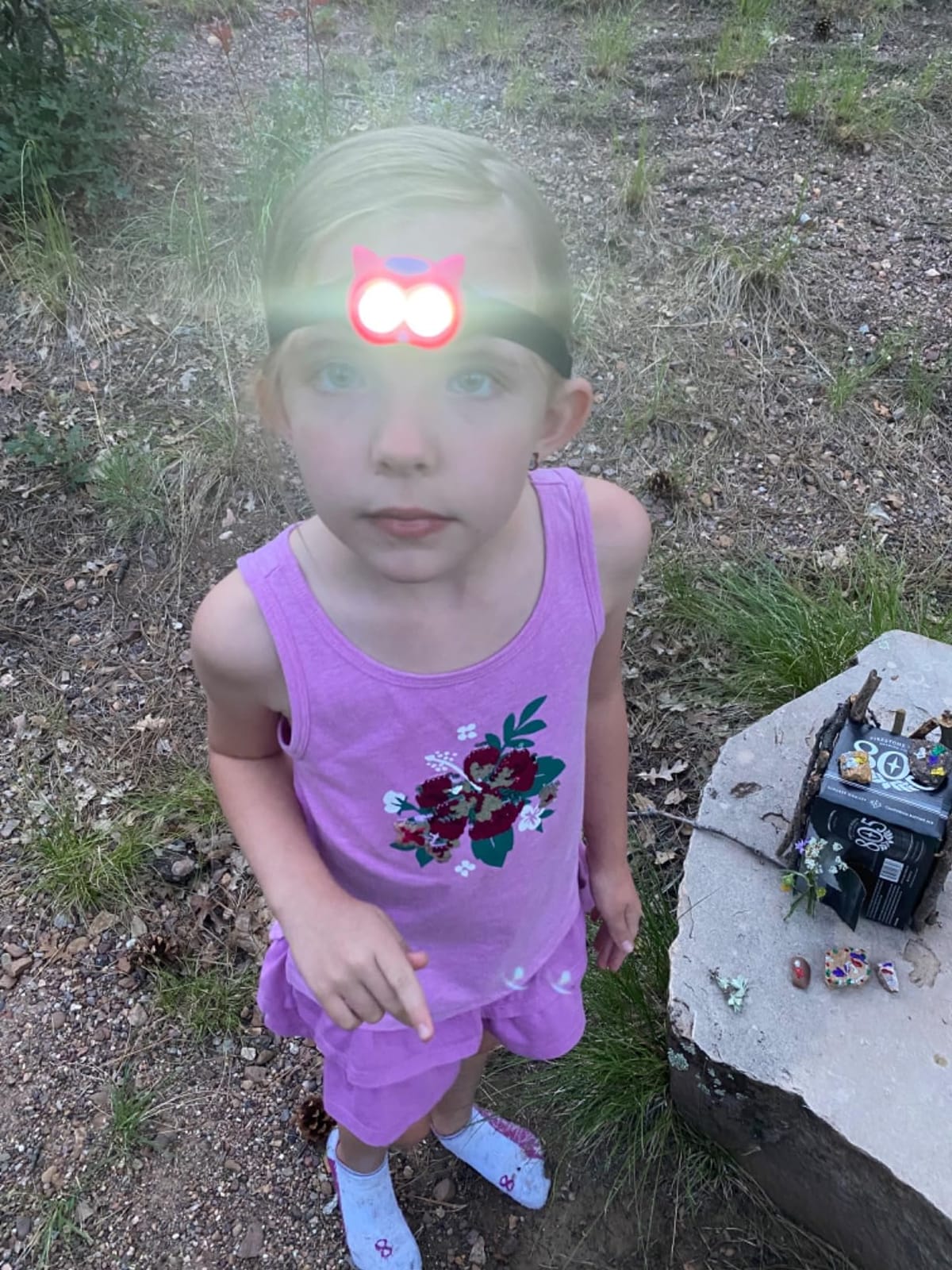 Kids Owl Lantern & Headlamp Set, 2-in-1 360° LED Camping Night Light, Battery Powered 3×AA, Child-Safe ABS, Portable Adventure Toy & Bedroom Night-Light (Pink Owl Lantern-Headlmp) customer photo 2