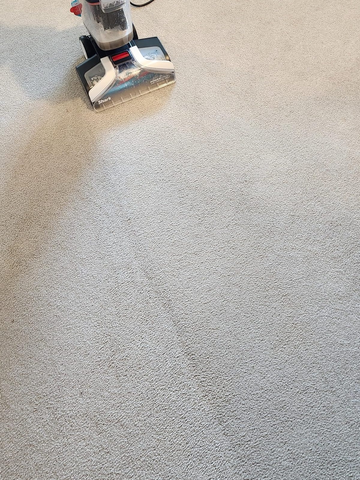 Shark CarpetXpert StainStriker Carpet & Upholstery Cleaner, 3 Tools, EX201 customer photo 1