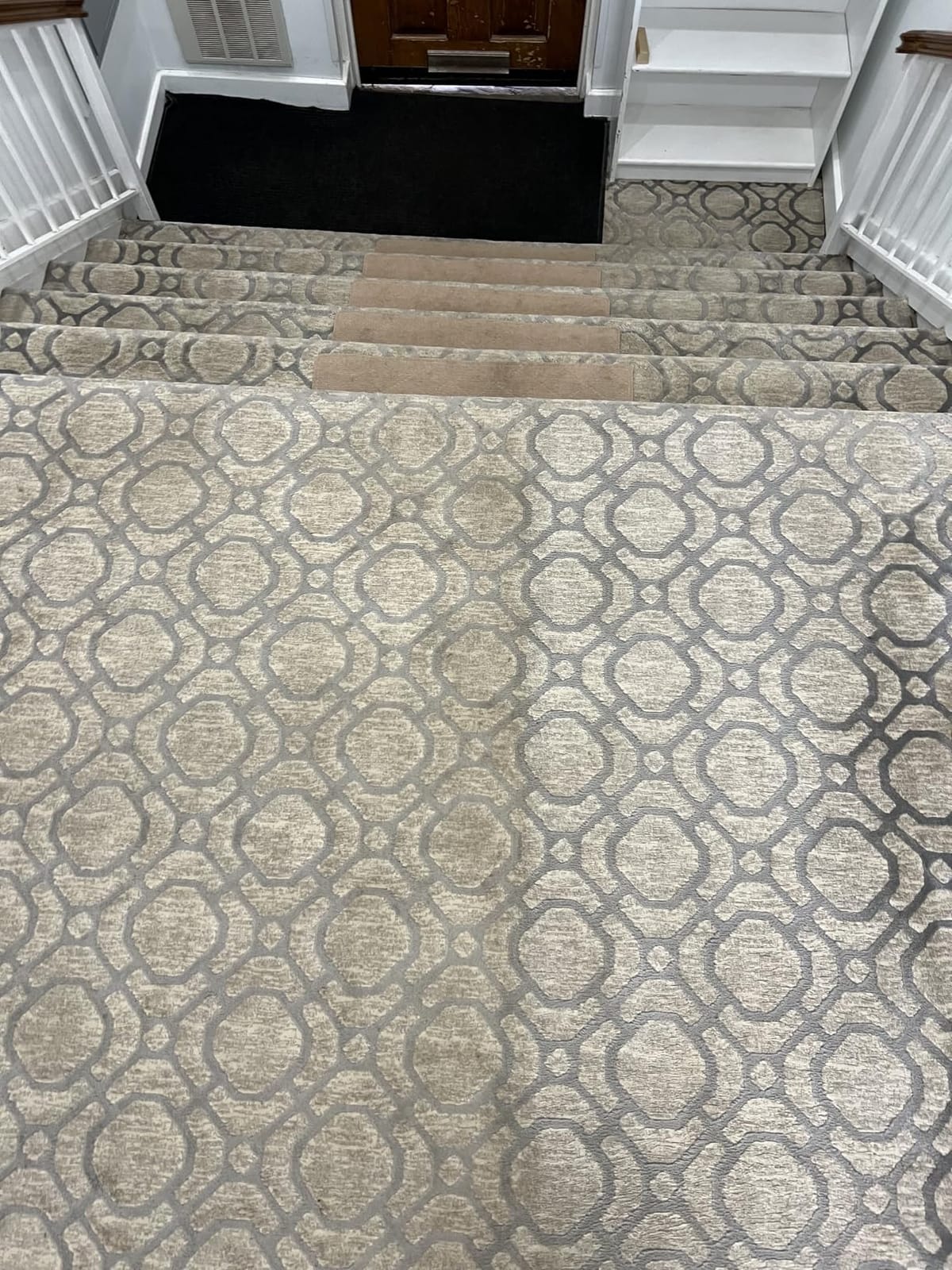 Shark CarpetXpert StainStriker Carpet & Upholstery Cleaner, 3 Tools, EX201 customer photo 2