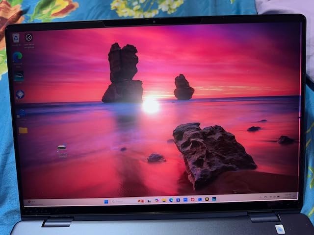 PYS Magnetic Laptop Privacy Screen Filter 15.6 Inch 16:9 customer photo 2