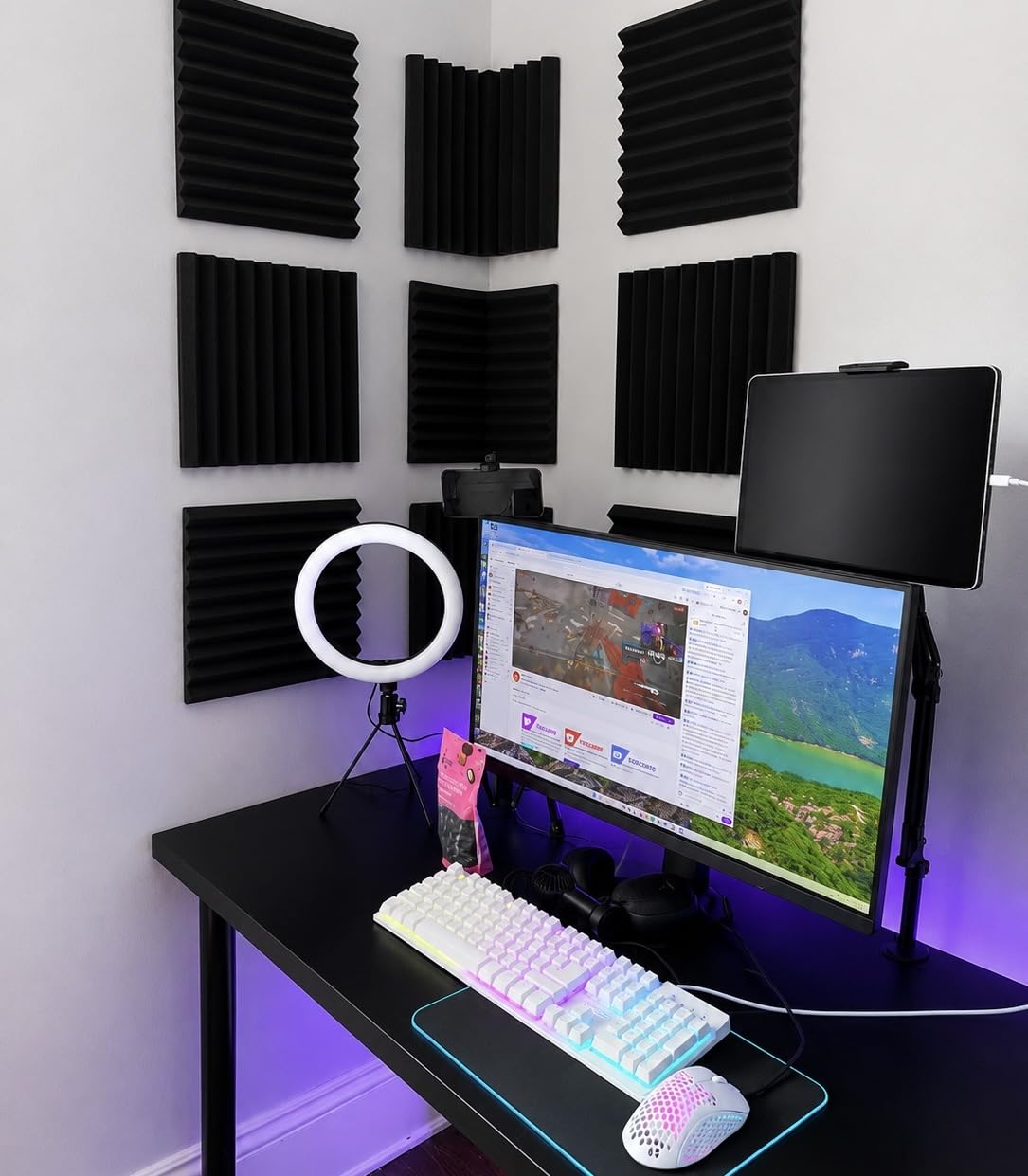 Acoustic Foam Panels Sound Absorbing 12 Pack - 1