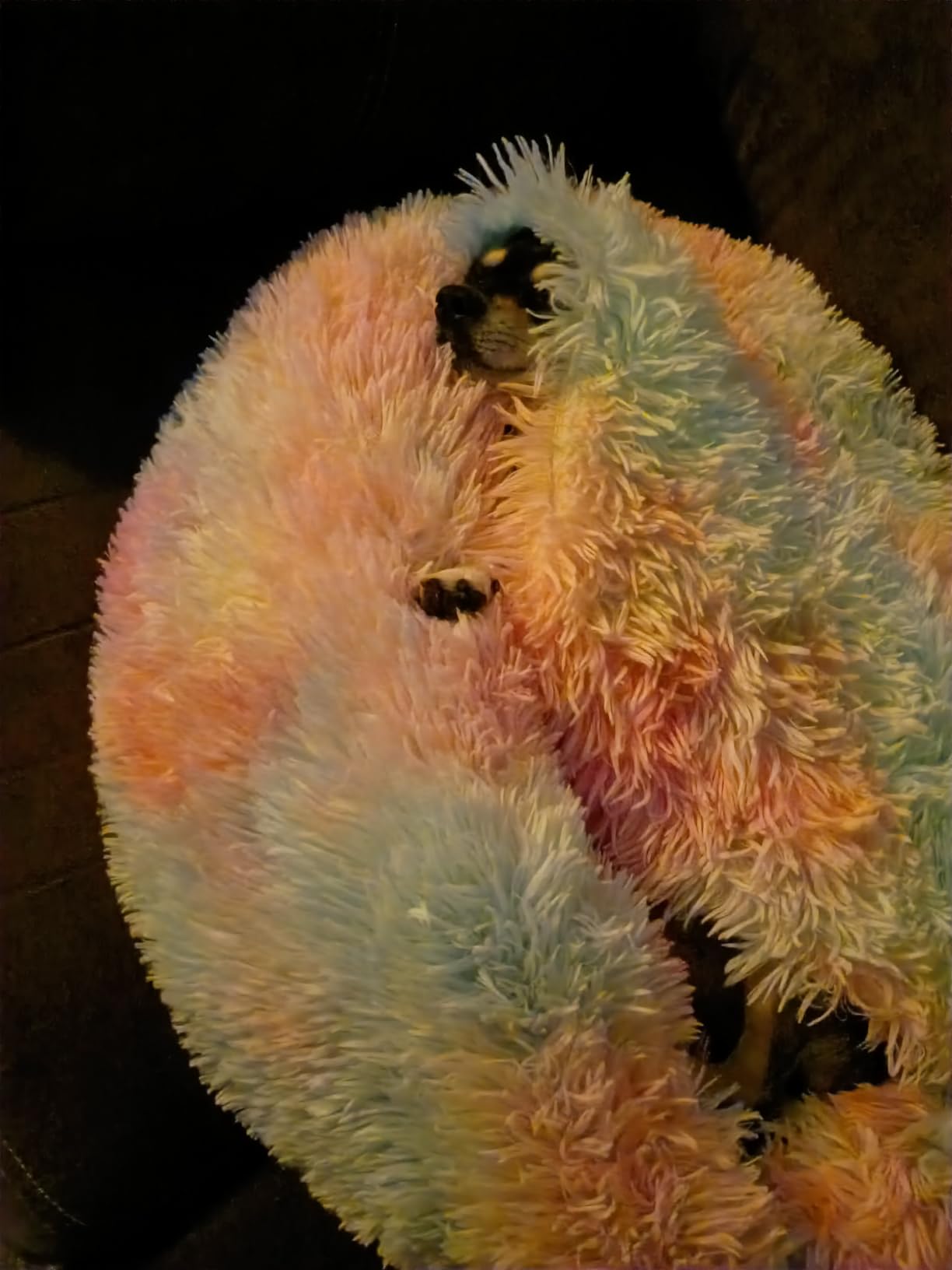 Himax 26in Covered Dog Bed with Blanket Attached Calming Burrow Light Grey customer photo 1