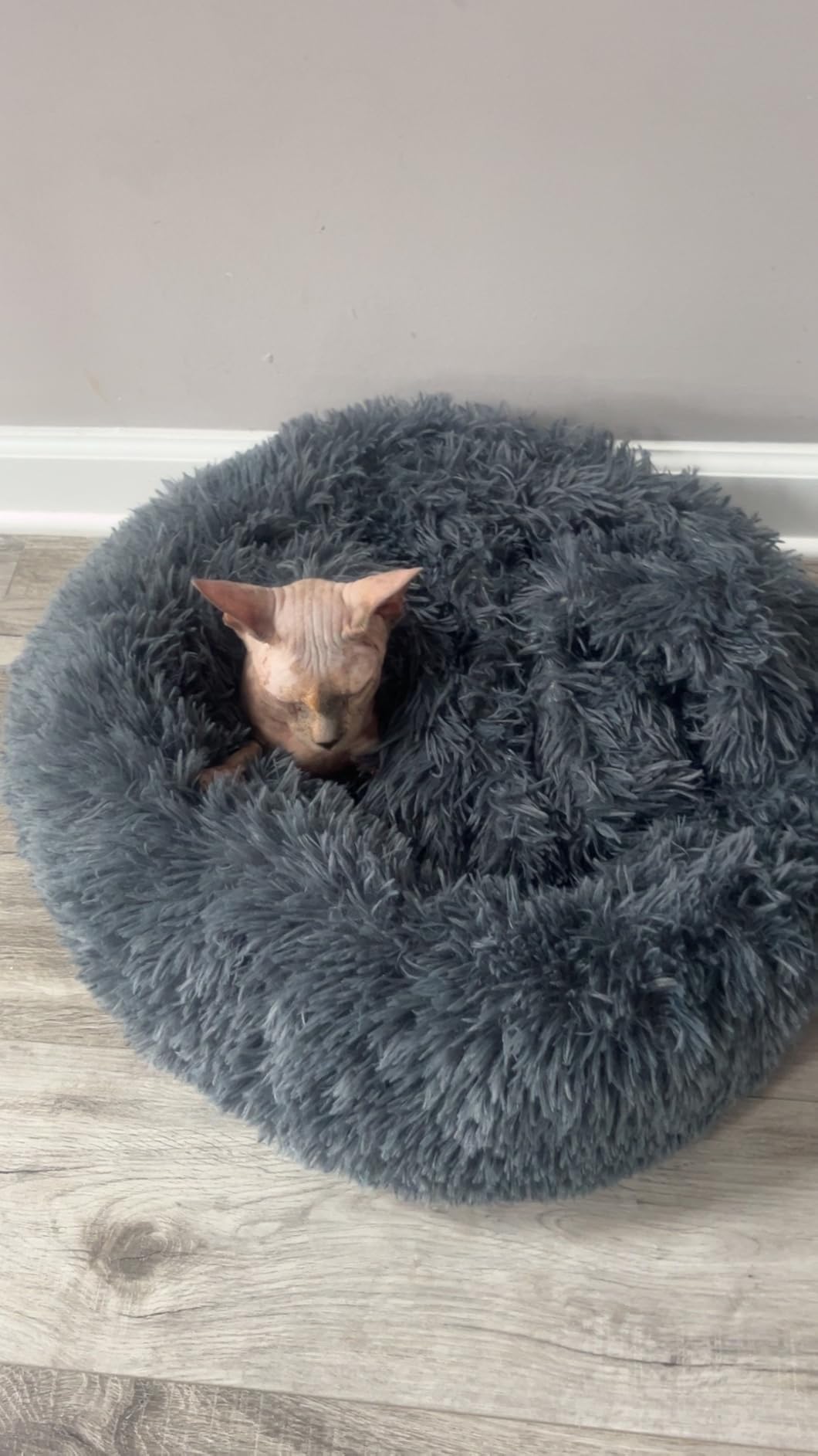 Himax 26in Covered Dog Bed with Blanket Attached Calming Burrow Light Grey customer photo 2