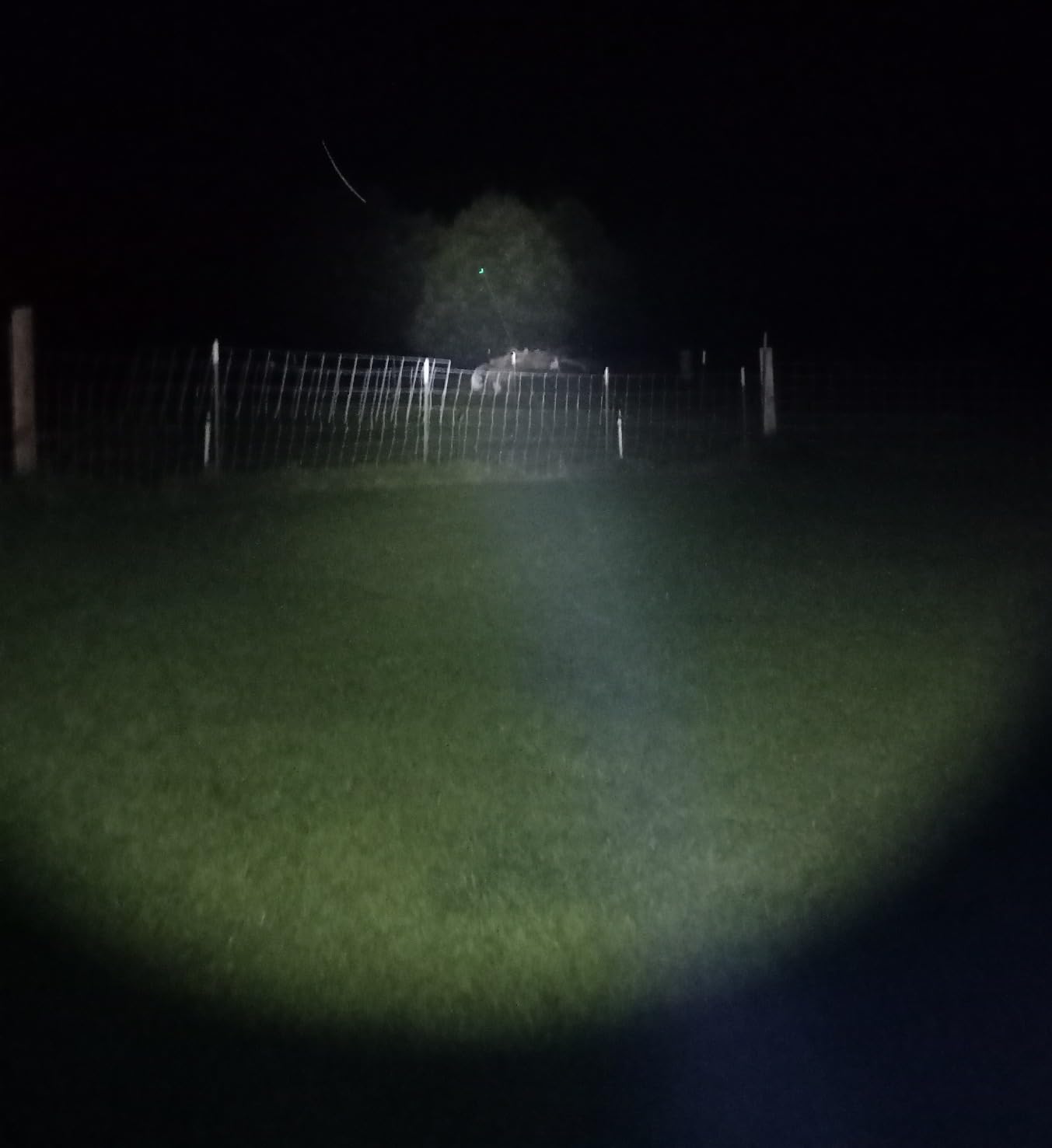 TOUGHSOUL Hunting Flashlight Red Light, Low Profile Mlok Picatinny Mounted customer photo 1