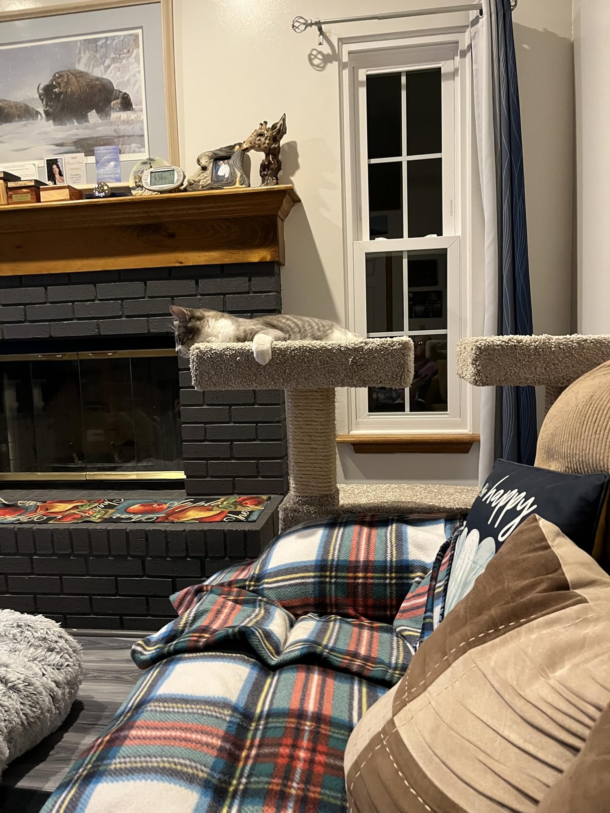 Prestige Cat Trees Maine Coon Deluxe Cat Perch – Made in USA Sturdy Solid-Wood Tower for Large & Multiple Cats – Easy 2-Step Assembly, Plush Carpet, Sisal Scratch Posts customer photo 1