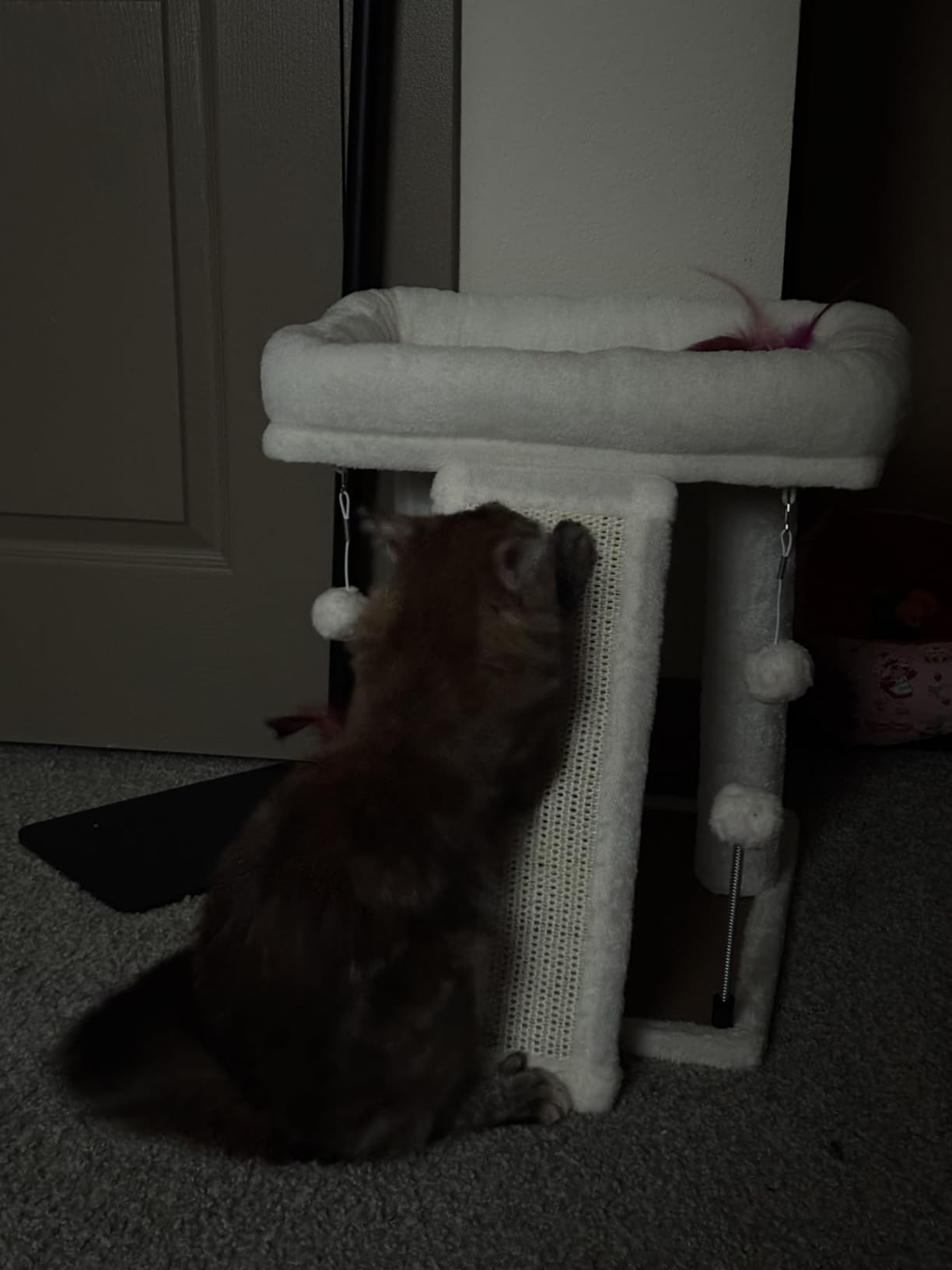 TWDEPART Cactus Cat Tree Tower with Cat Scratching Post for Indoor Cats,Activity Centre Climbing Tree Cat Furniture with Playful Toy Balls,Green customer photo 2