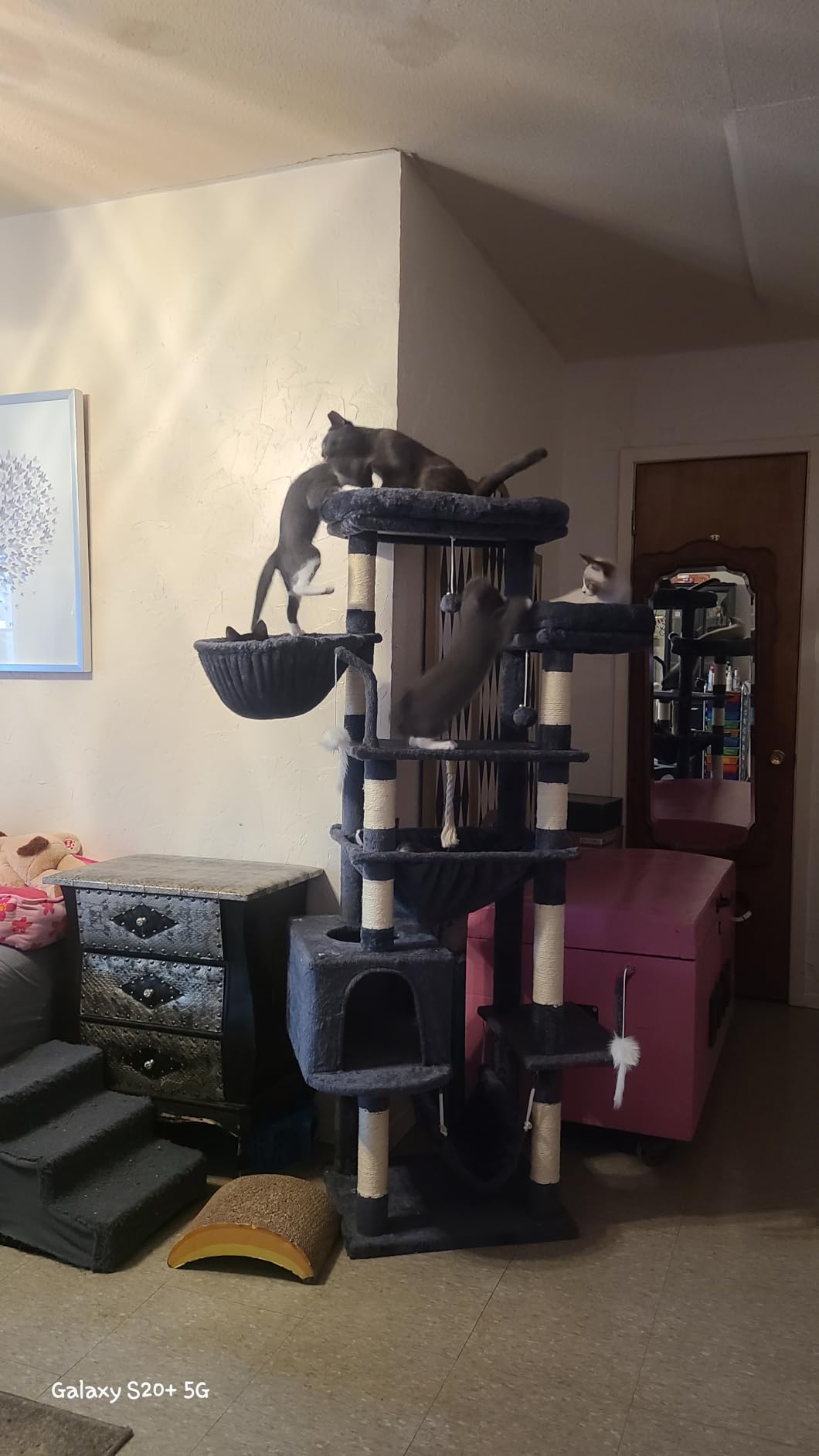 Gitelsnour Cat Tree, 63'' Cat Tower for Large Cats, Big Hammock GCT020G customer photo 2