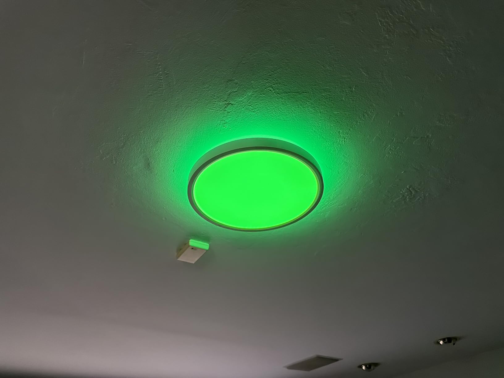 Govee Smart Ceiling Light, RGBIC 2400LM 2700K-6500K 12 Inch 1 Pack White customer photo 1