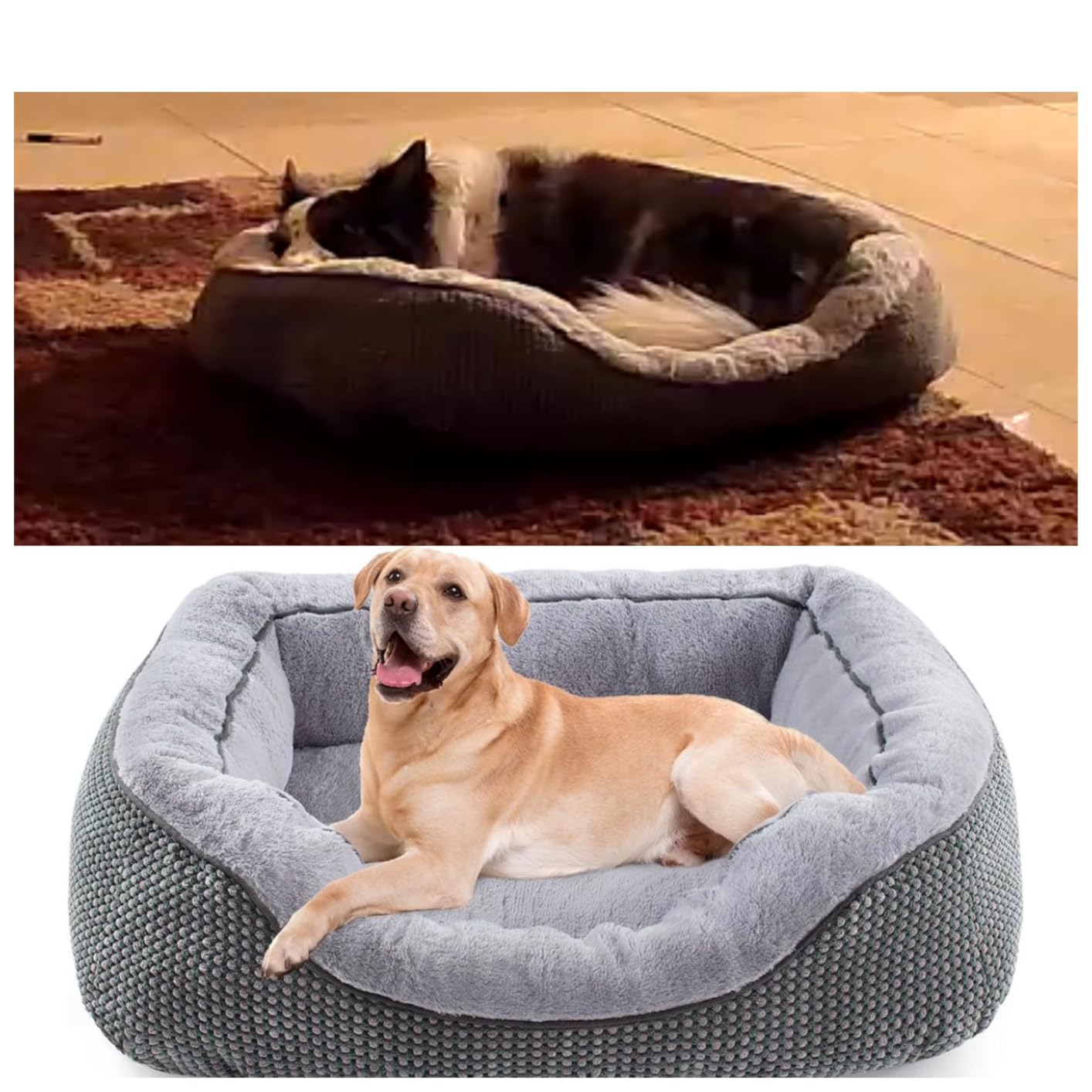 INVENHO Dog Beds for Small Medium Dogs Washable, Calming Orthopedic Warming Soft Calming Sleeping Durable Pet Bed with Anti-Slip Bottom customer photo 2
