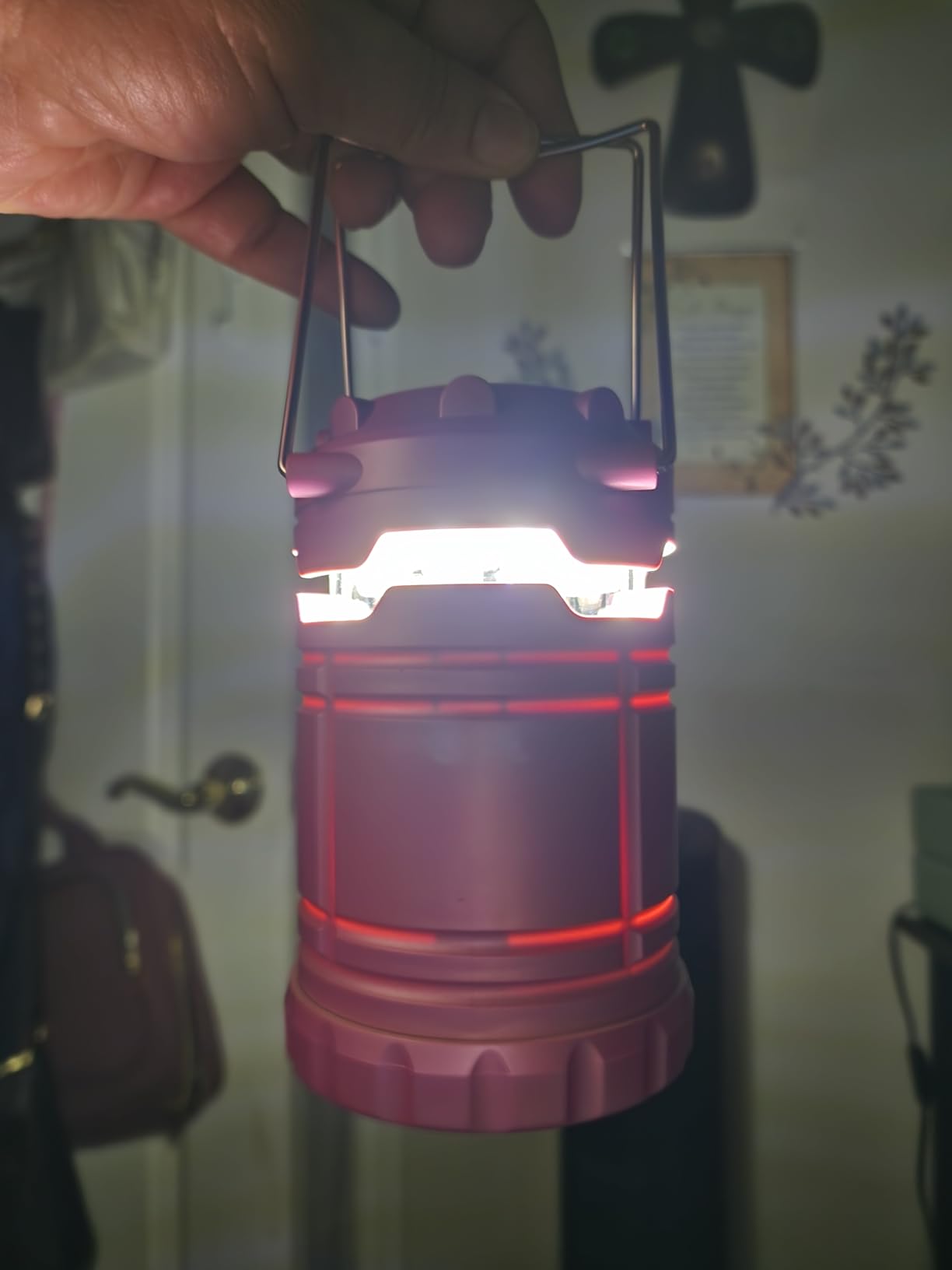 1-Pack LED Pink Camping Lantern customer photo 1