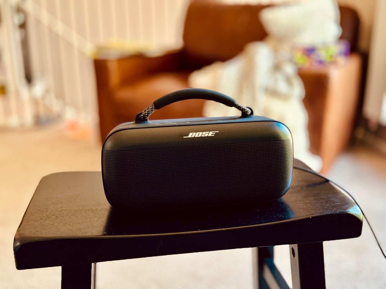 Bose SoundLink Max Bluetooth Speaker - Portable Wireless Party Speaker, IP67 Waterproof, Rope Handle, Up to 20 Hours of Playtime, USB-C, Built-in 3.5mm AUX Input, Black customer photo 2