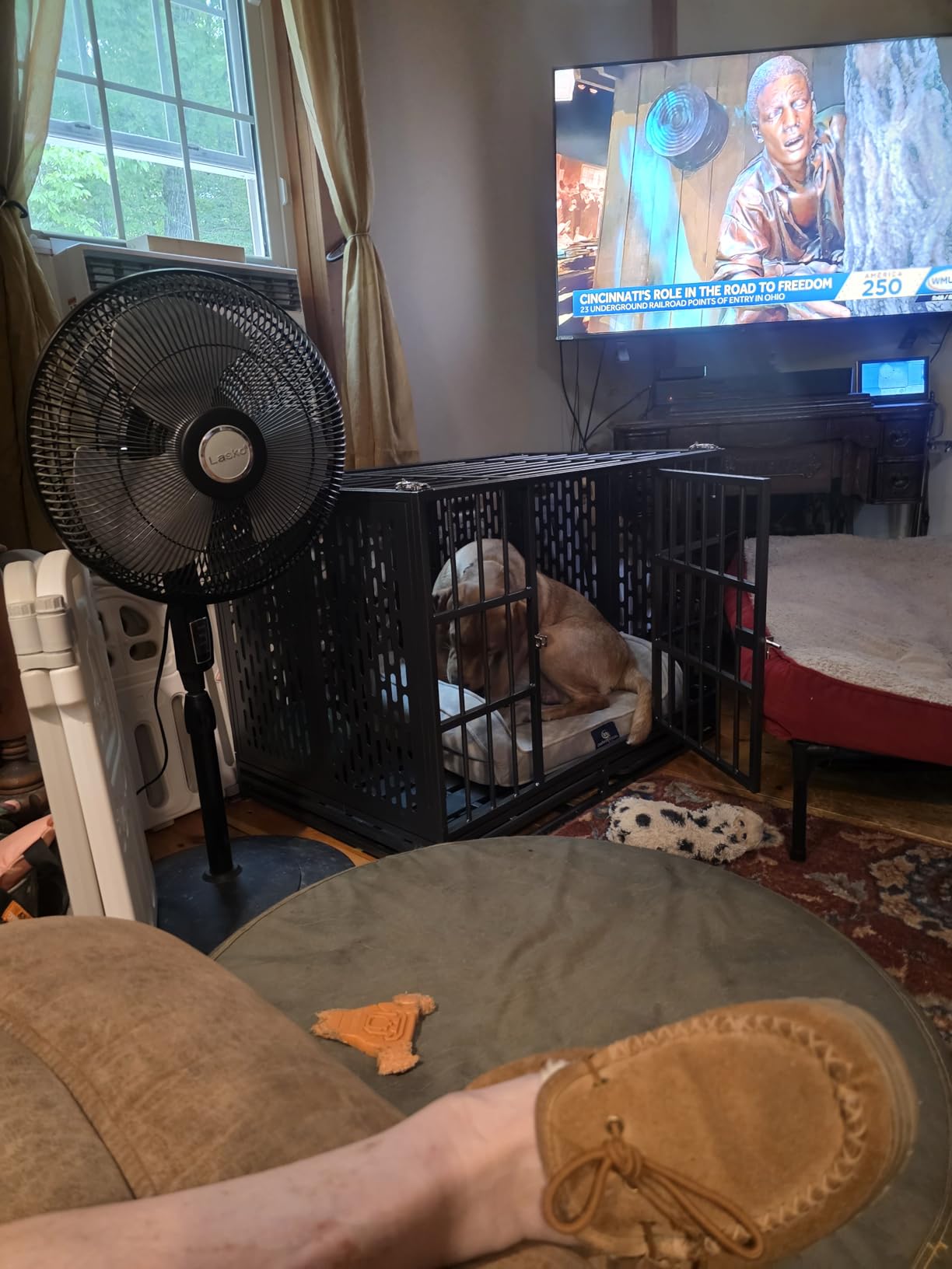Snuowu 48 Inch Heavy Duty Dog Crate with Wheels, Metal Big Dog Cage for Large and Medium Dogs, Extra Large XL XXL Indestructible Dog Crate with Removable Tray. customer photo 1