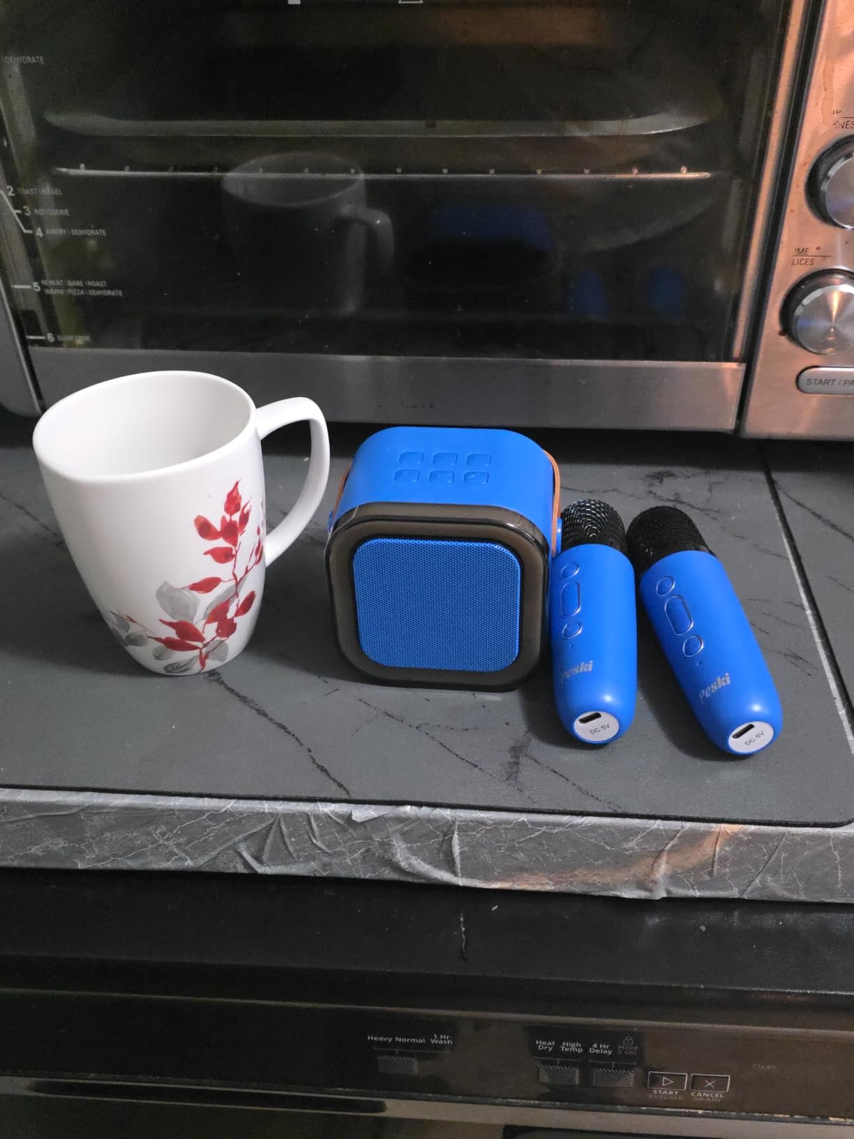 Karaoke Machine Kids Adults,Bluetooth Speaker with 2 Wireless Microphones customer photo 1