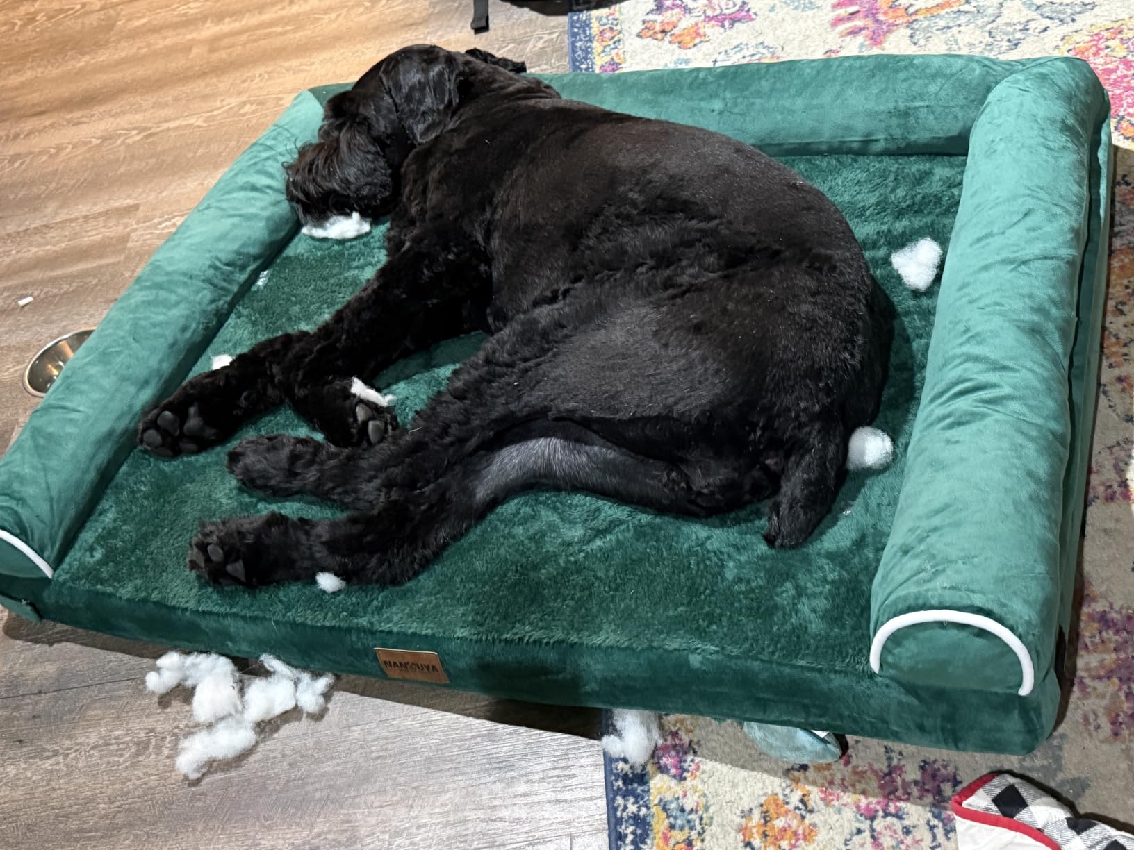 NANUYA Orthopedic Dog Bed for Large Dogs, 36 x 27 Inch, Light Grey customer photo 1
