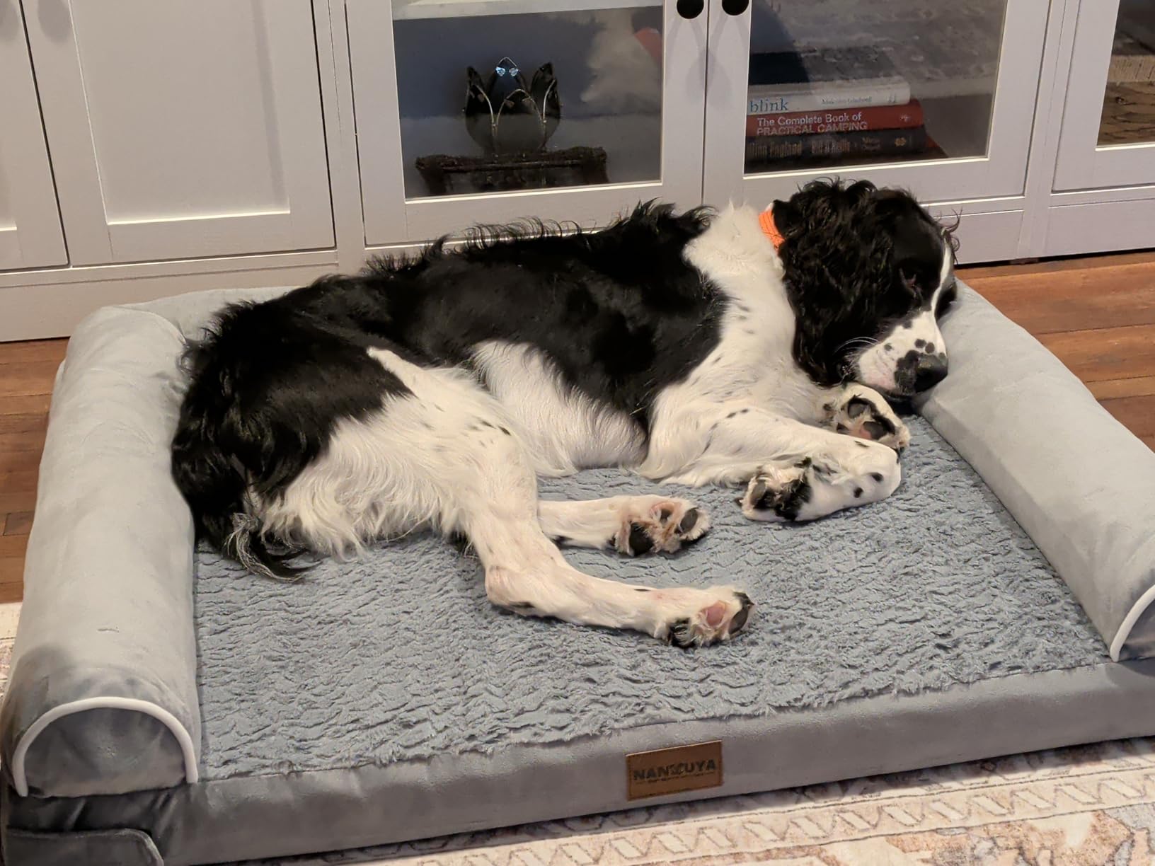 NANUYA Orthopedic Dog Bed for Large Dogs, 36 x 27 Inch, Light Grey customer photo 2