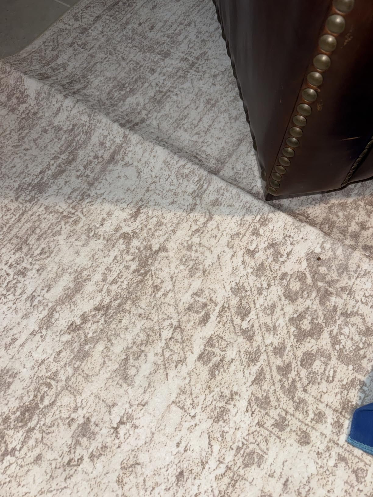 Soalmost 6x9 Area Rug for Living Room Washable Rugs Non-Slip Beige customer photo 1