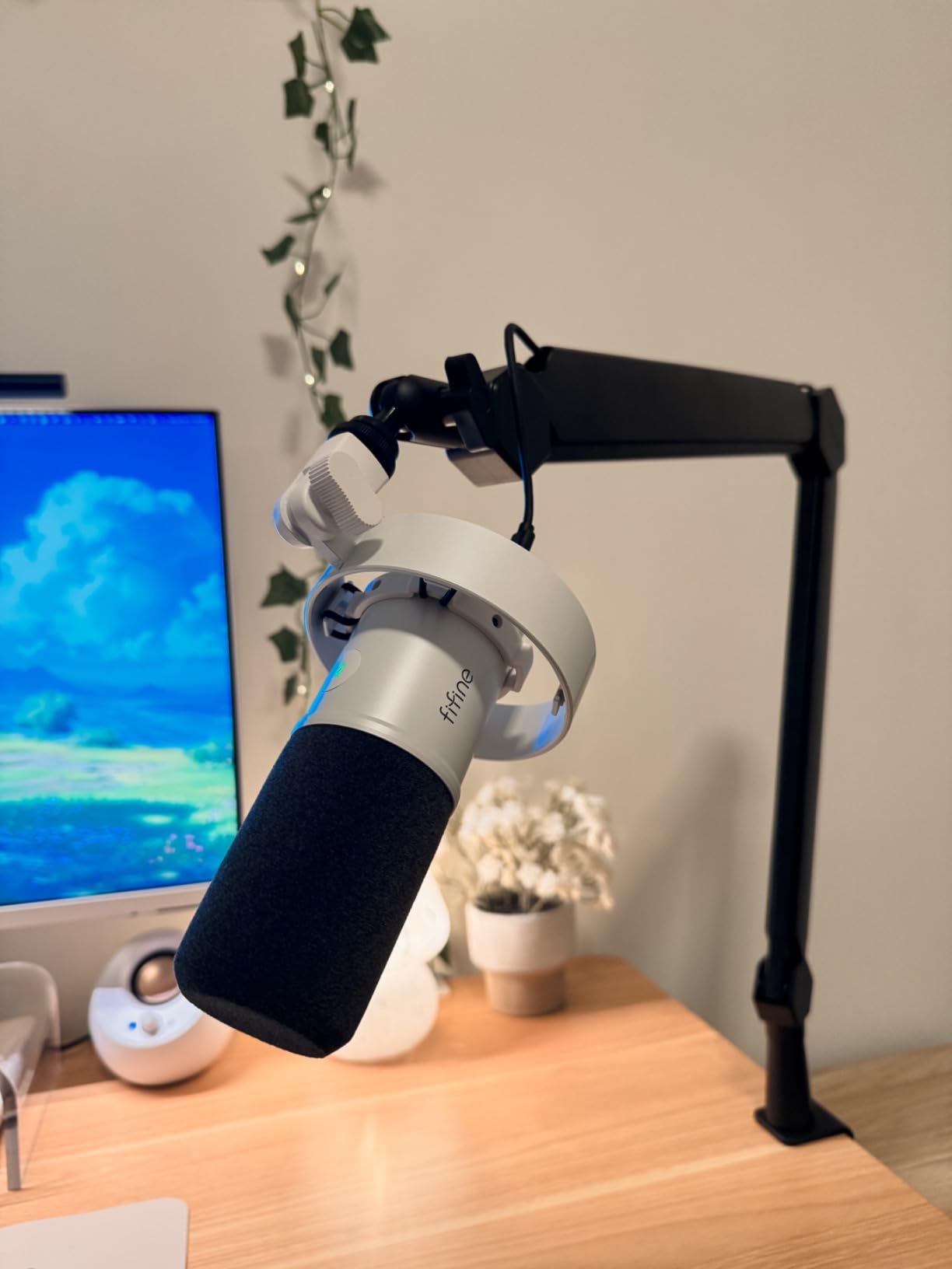 FIFINE BM66 Heavy Metal Microphone Boom Arm Stand for Podcast Recording | Mic Arm Stand, Desk Clamp, Cable Channels, 3/8