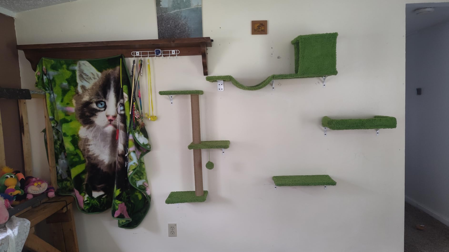 FUKUMARU Cat Wall Shelves, 4 in 1 Set, Grey customer photo 1