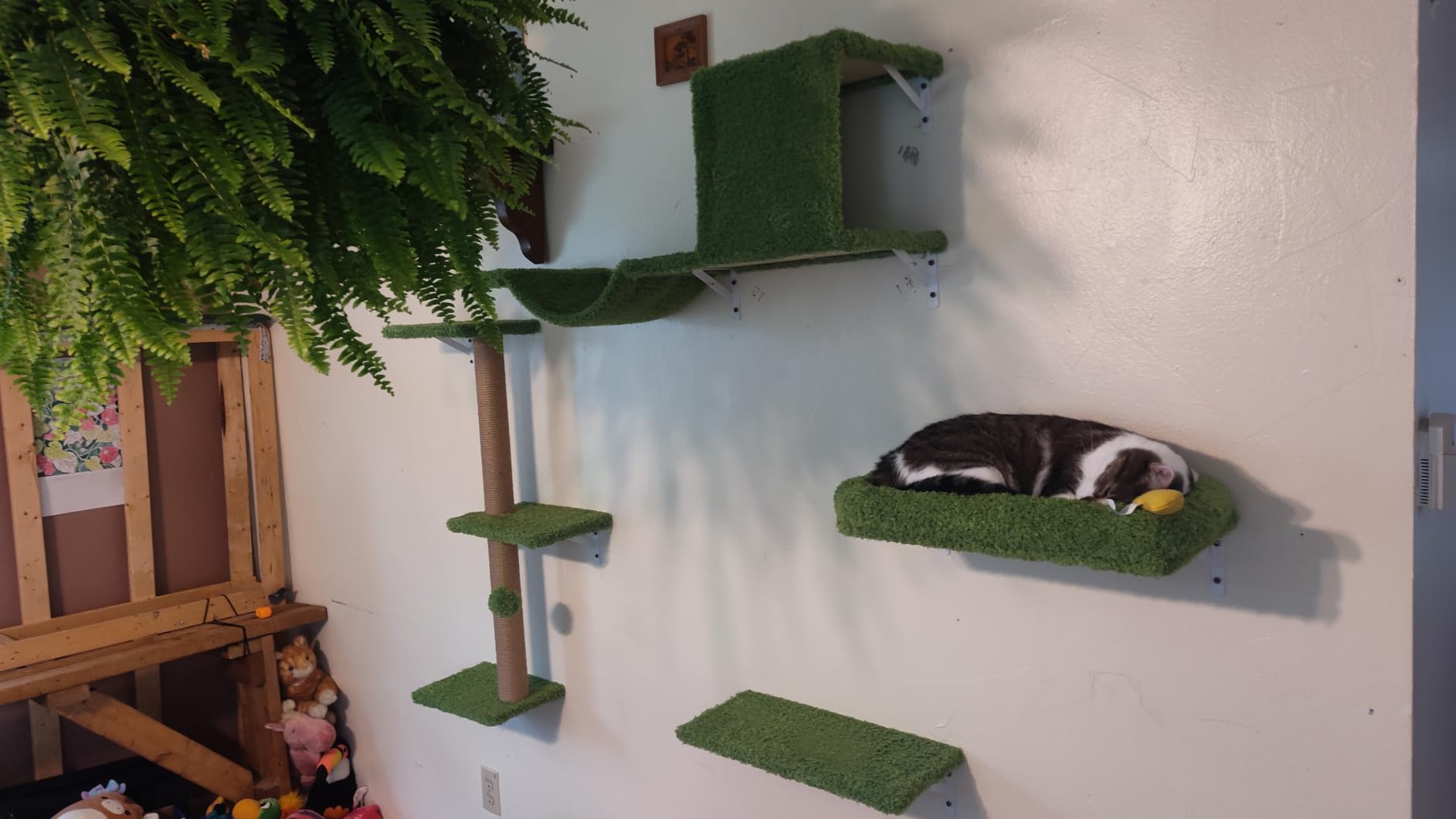 FUKUMARU Cat Wall Shelves, 4 in 1 Set, Grey customer photo 2
