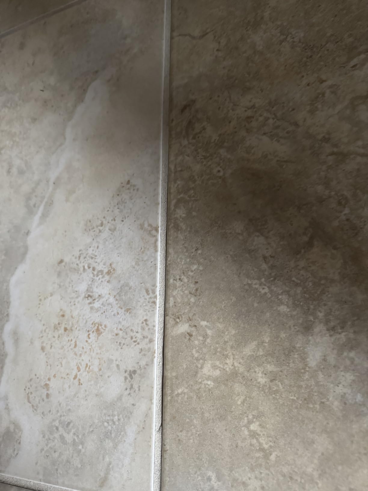 Schenley Steam Mop for Hard Floors, 15s Fast Heat-Up, Standard customer photo 2