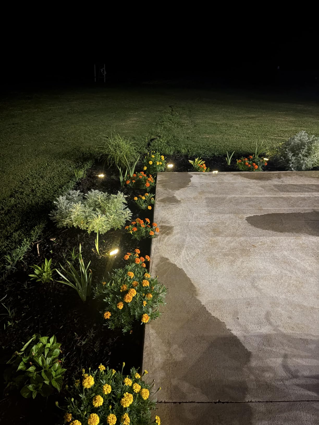 btfarm 16 Pack Solar Lights Outdoor Waterproof, 8 LED Solar Ground Lights customer photo 2