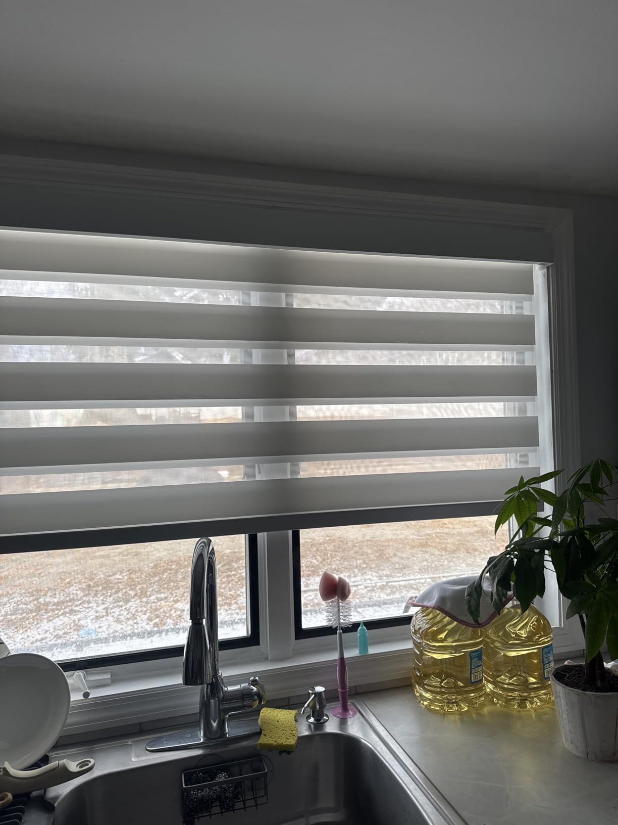 Smart Zebra Blinds for Windows, Works with Alexa, 23