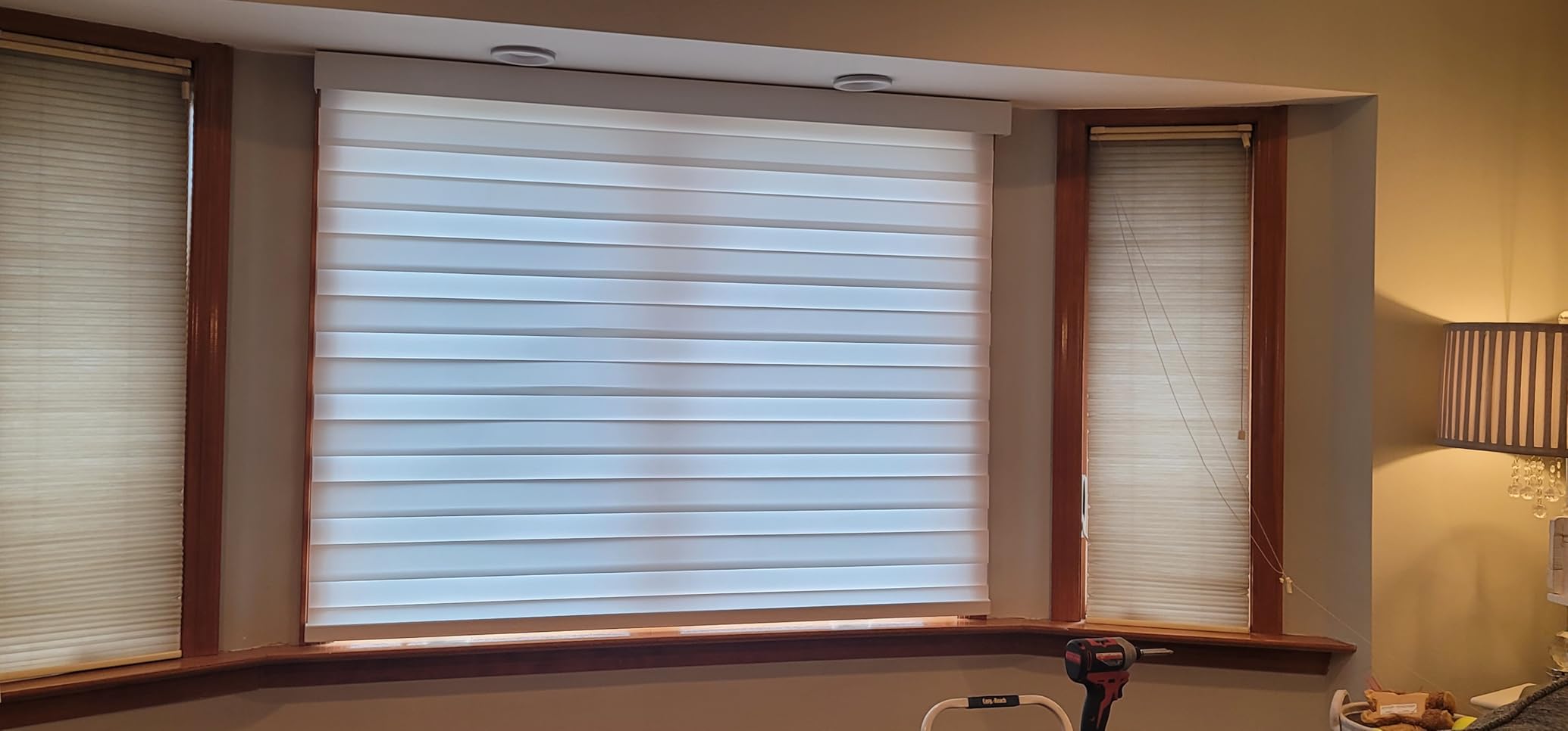 Smart Zebra Blinds for Windows, Works with Alexa, 23