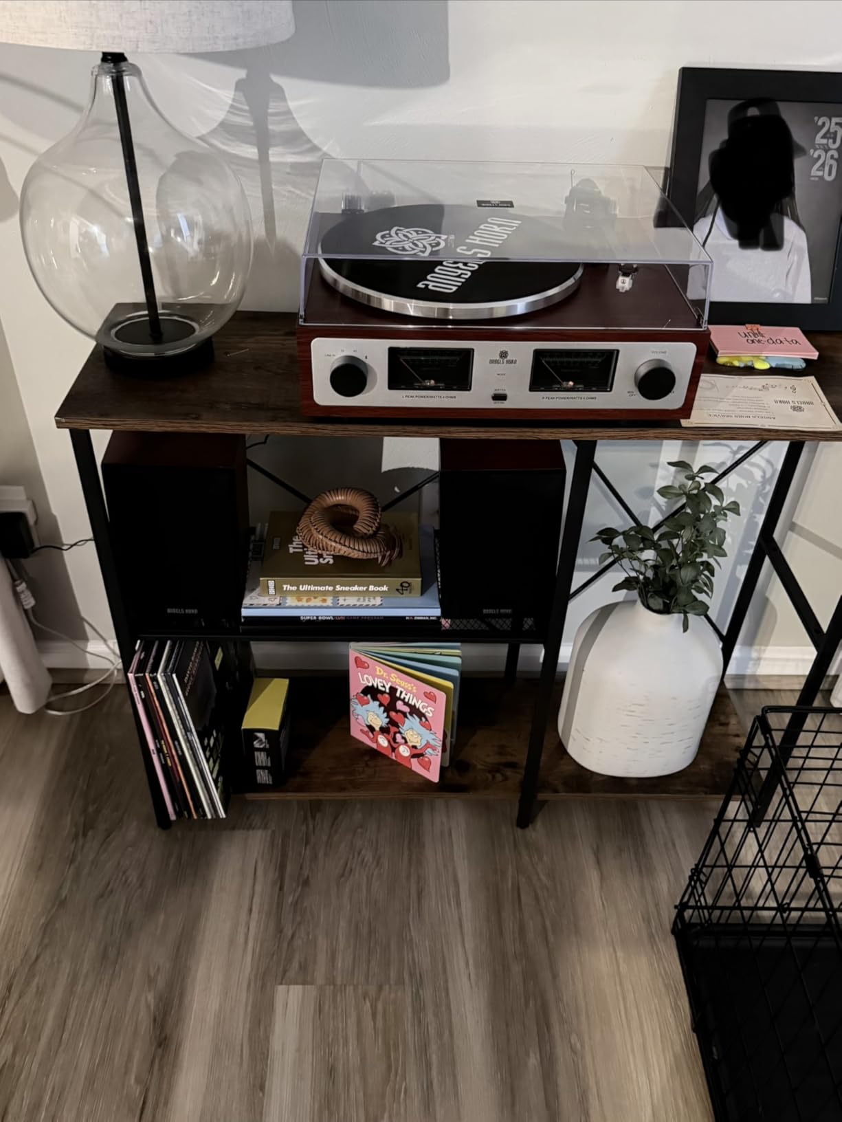 ANGELS HORN Vinyl Record Player with Speakers, Bluetooth Hi-Fi Turntable customer photo 1