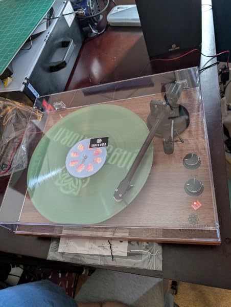 ANGELS HORN Vinyl Record Player with Speakers, Bluetooth Hi-Fi Turntable customer photo 2